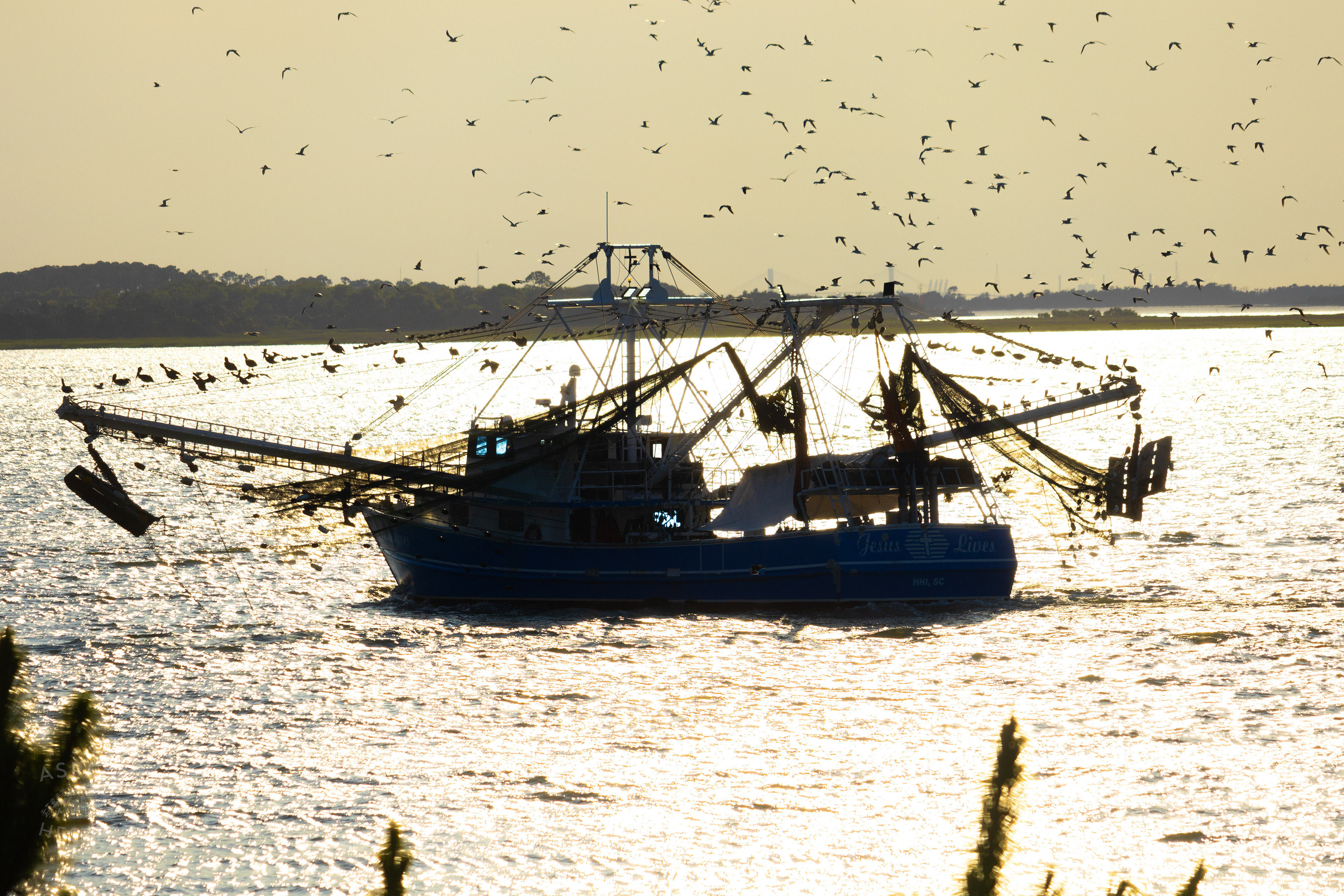 'Jesus Lives' Off The Coast of Tybee Island Georgia. June 23rd, 2024/Aspen Hester