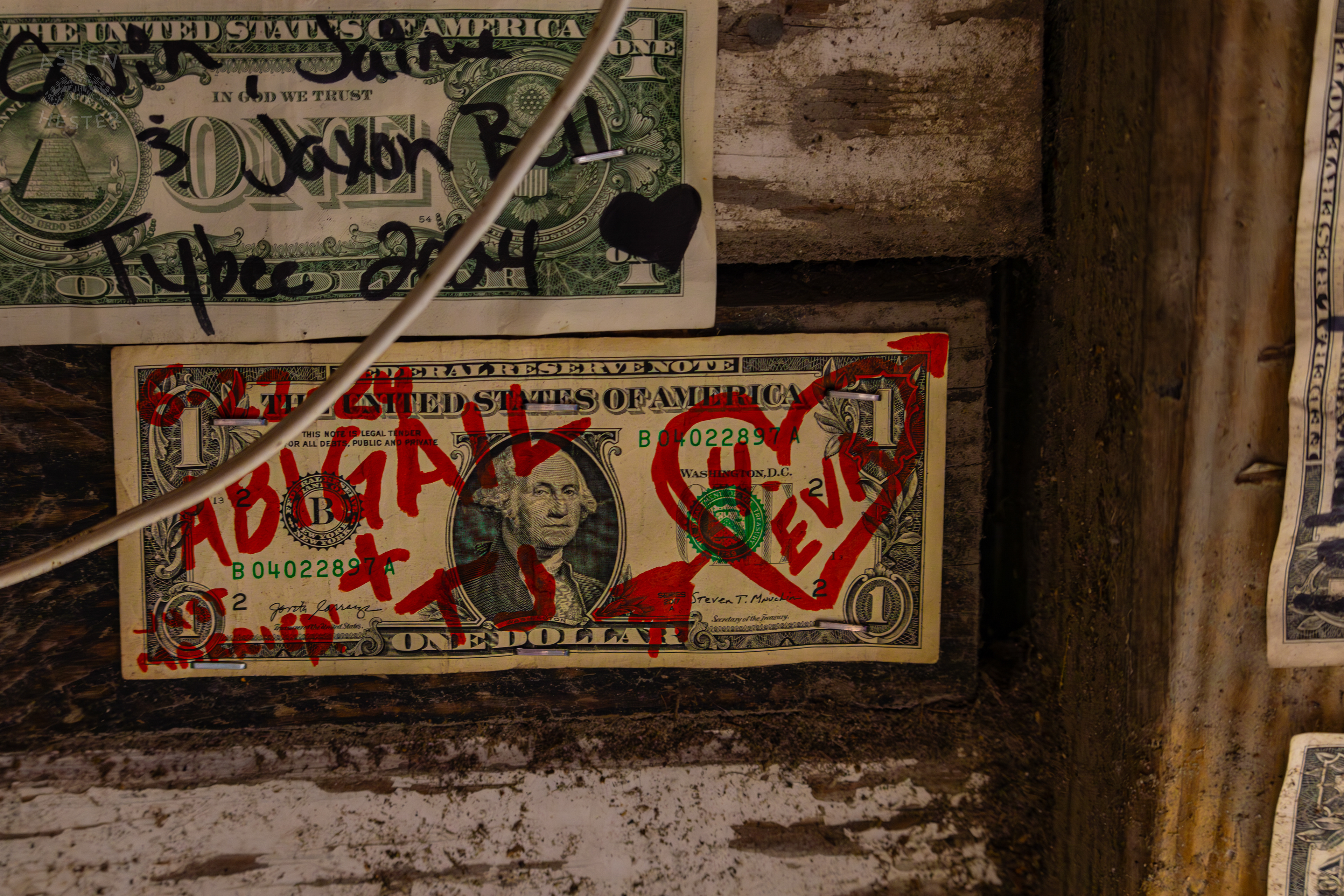 Dollar Bills Stapled to Huc-A-Poos Bites and Booze on Tybee Island Georgia. June 25th, 2024/Aspen Hester