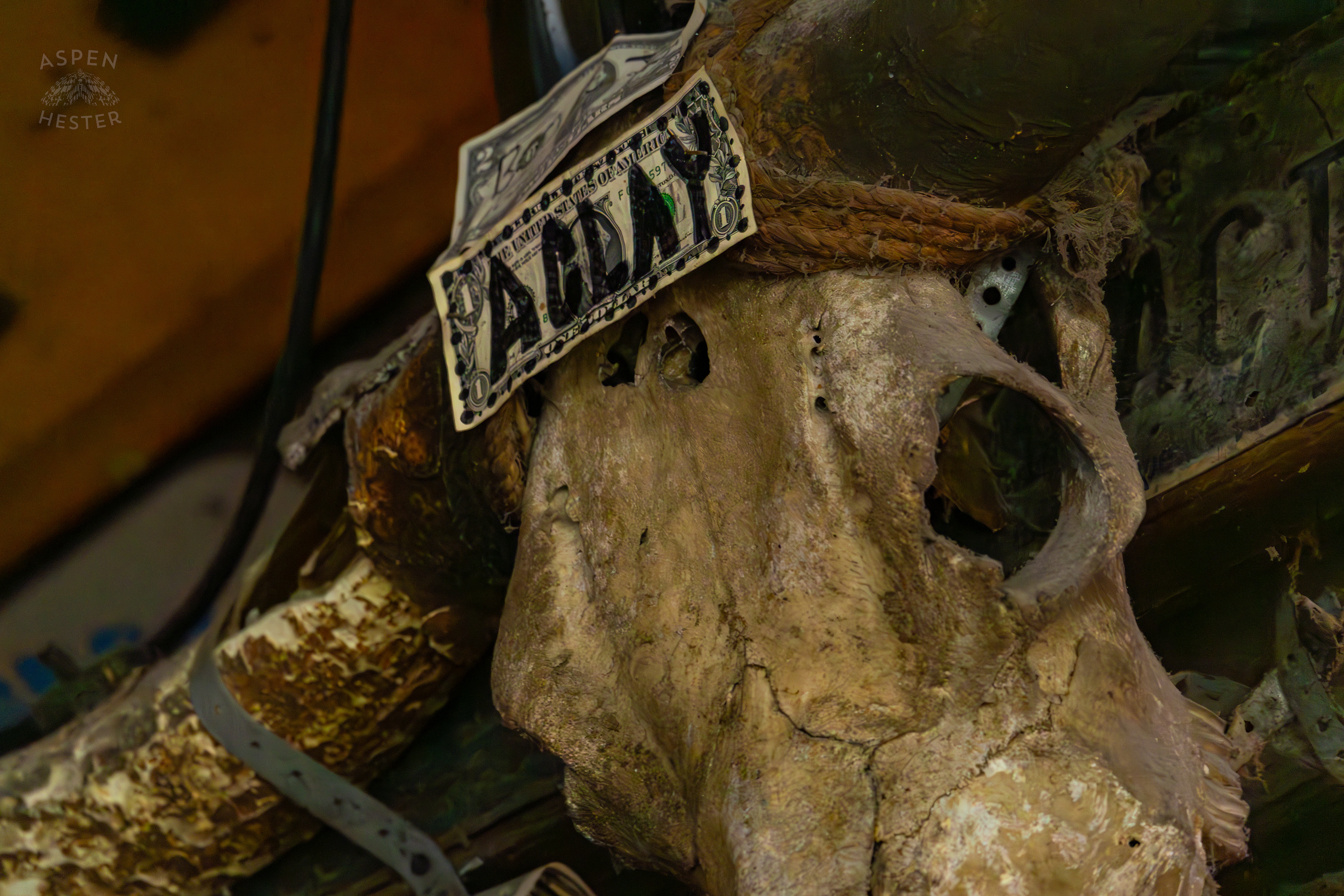 Dollar Bills Stapled to Huc-A-Poos Bites and Booze on Tybee Island Georgia. June 25th, 2024/Aspen Hester