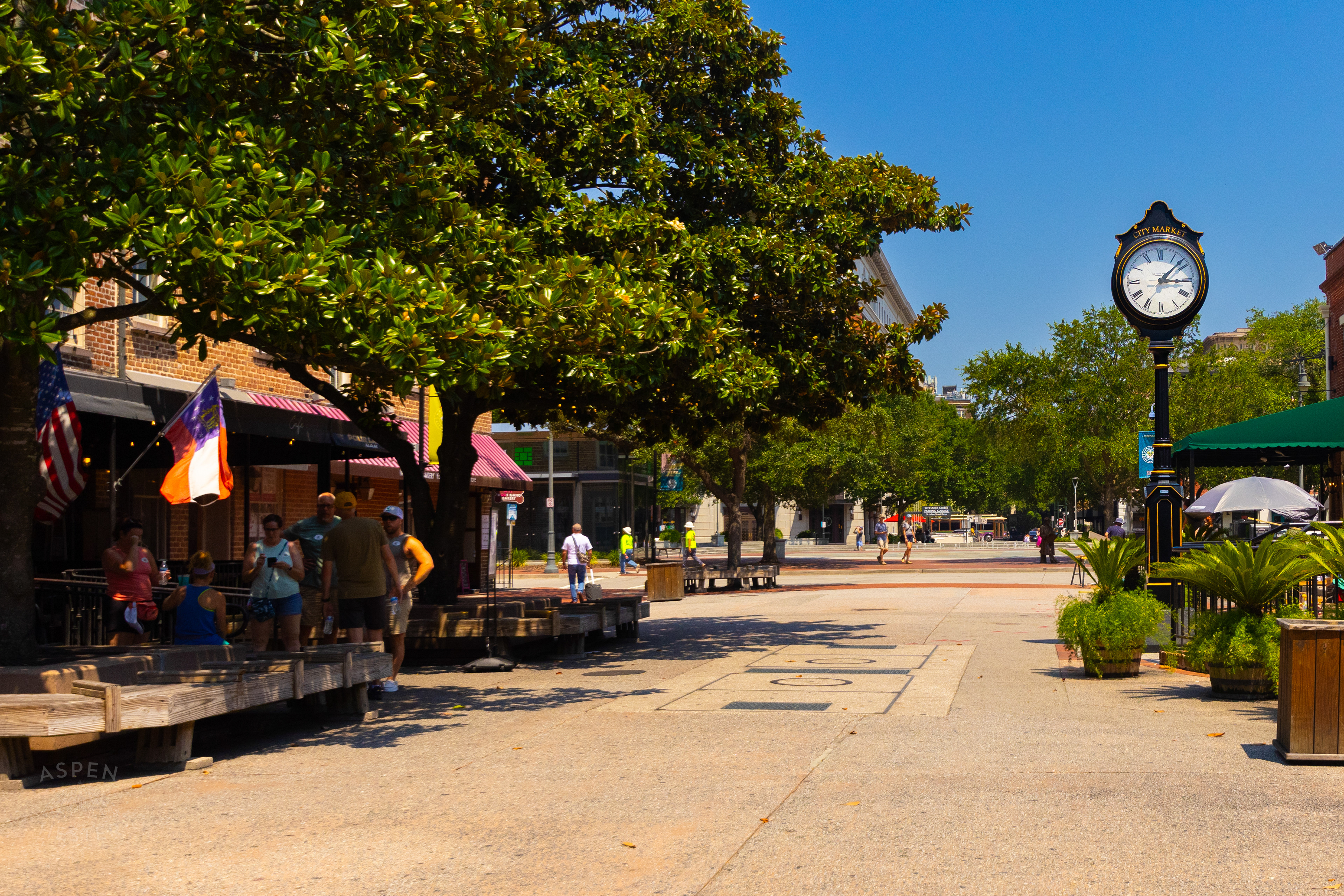  West Saint Julian Street in Savannah Georgia. June 26th, 2024/Aspen Hester