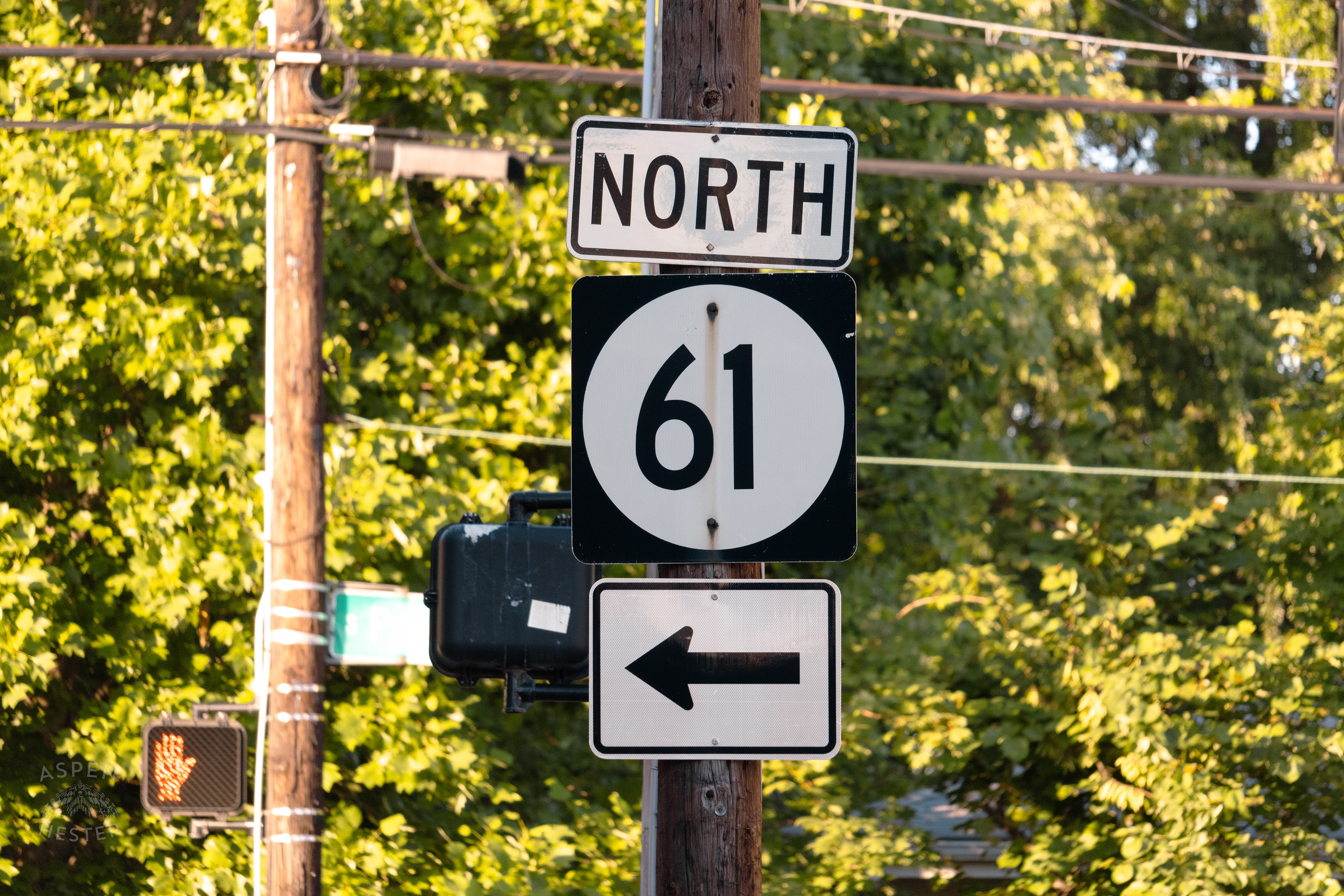 61 North Street Sign During Golden Hour on Preston Street. May 30th, 2024/Aspen Hester