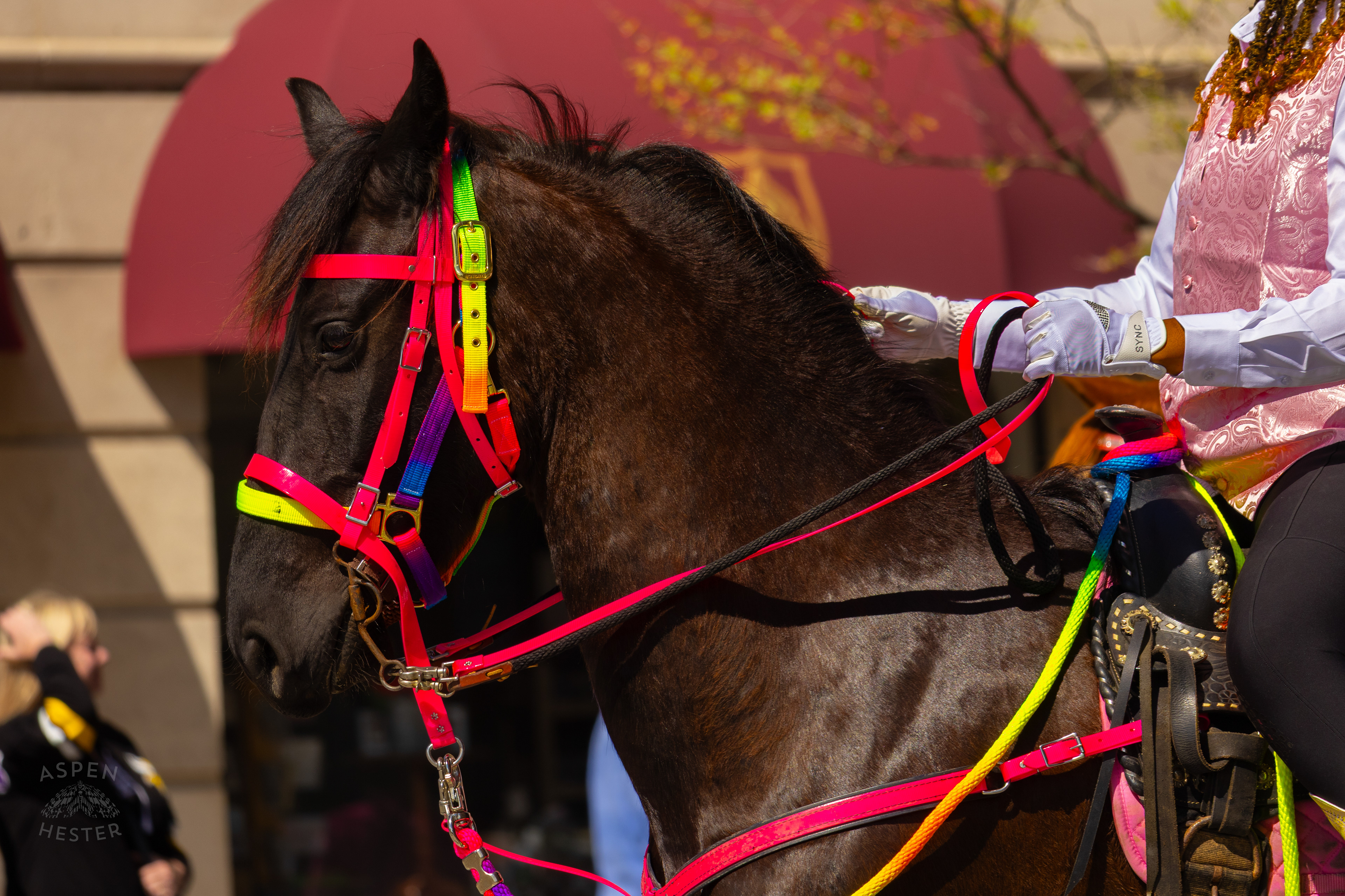 The Kentucky Hardriders Make Their Way Down West Broadway for The 70th Annual Pegasus Parade. April 27th, 2025/Aspen Hester