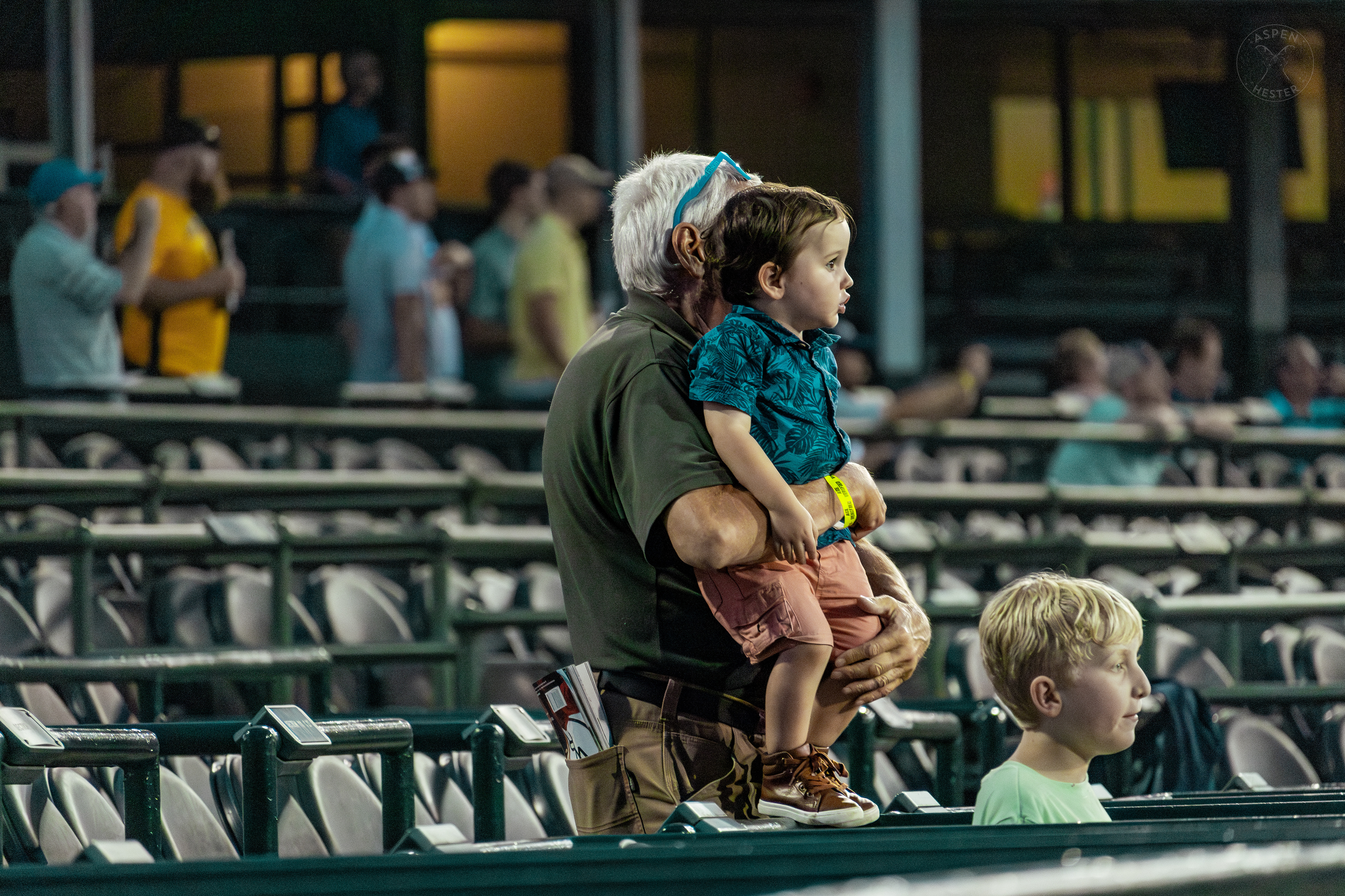 Toddler Watches Horses Race at Downs After Dark. May 18th, 2024/Aspen Hester