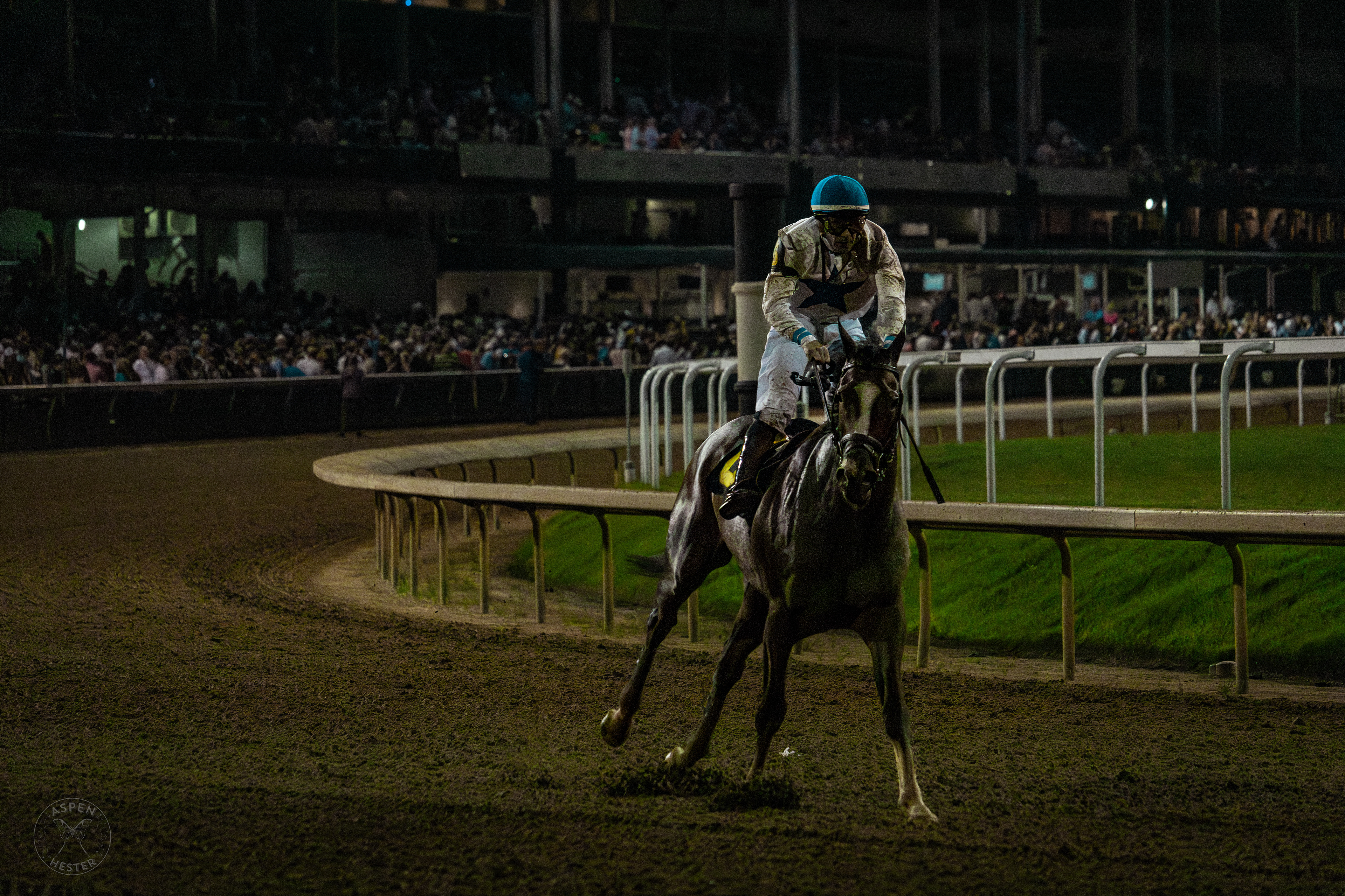 Jokey and Horse Racing at Downs After Dark. May 18th, 2024/Aspen Hester