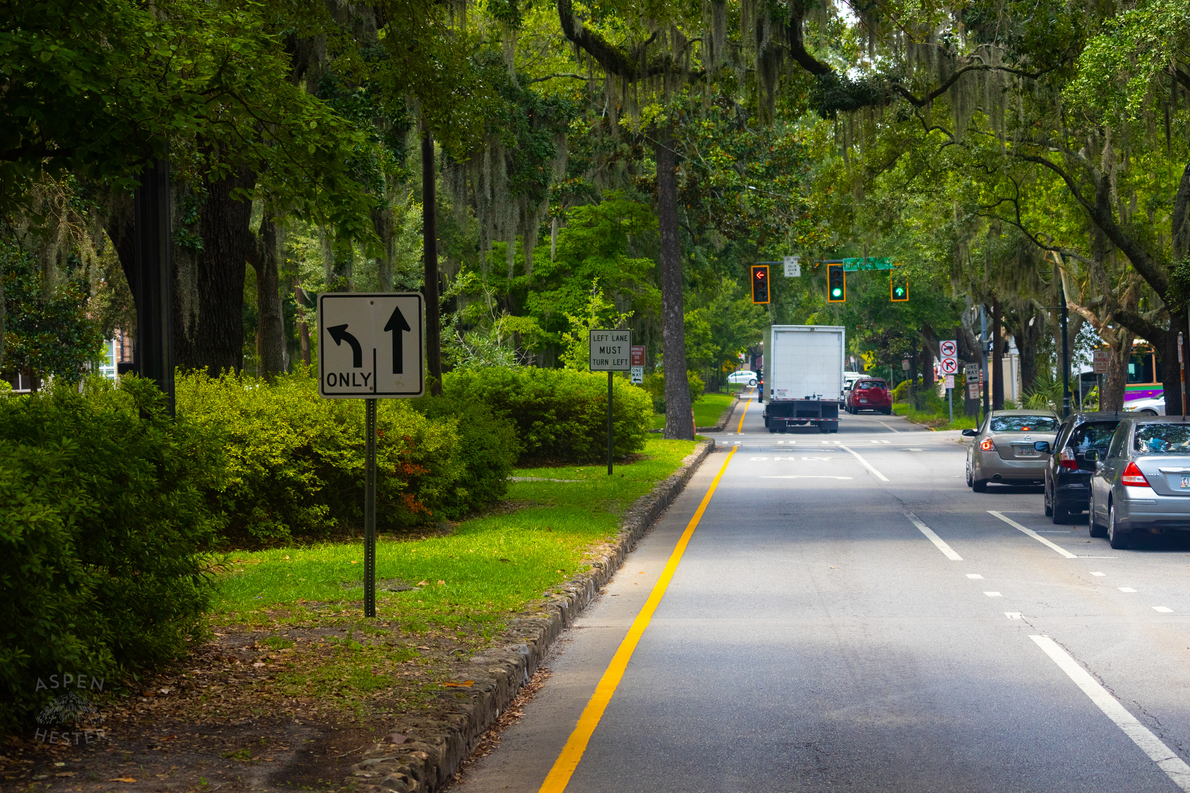Cross Street in Savannah Georgia. June 26th, 2024/Aspen Hester