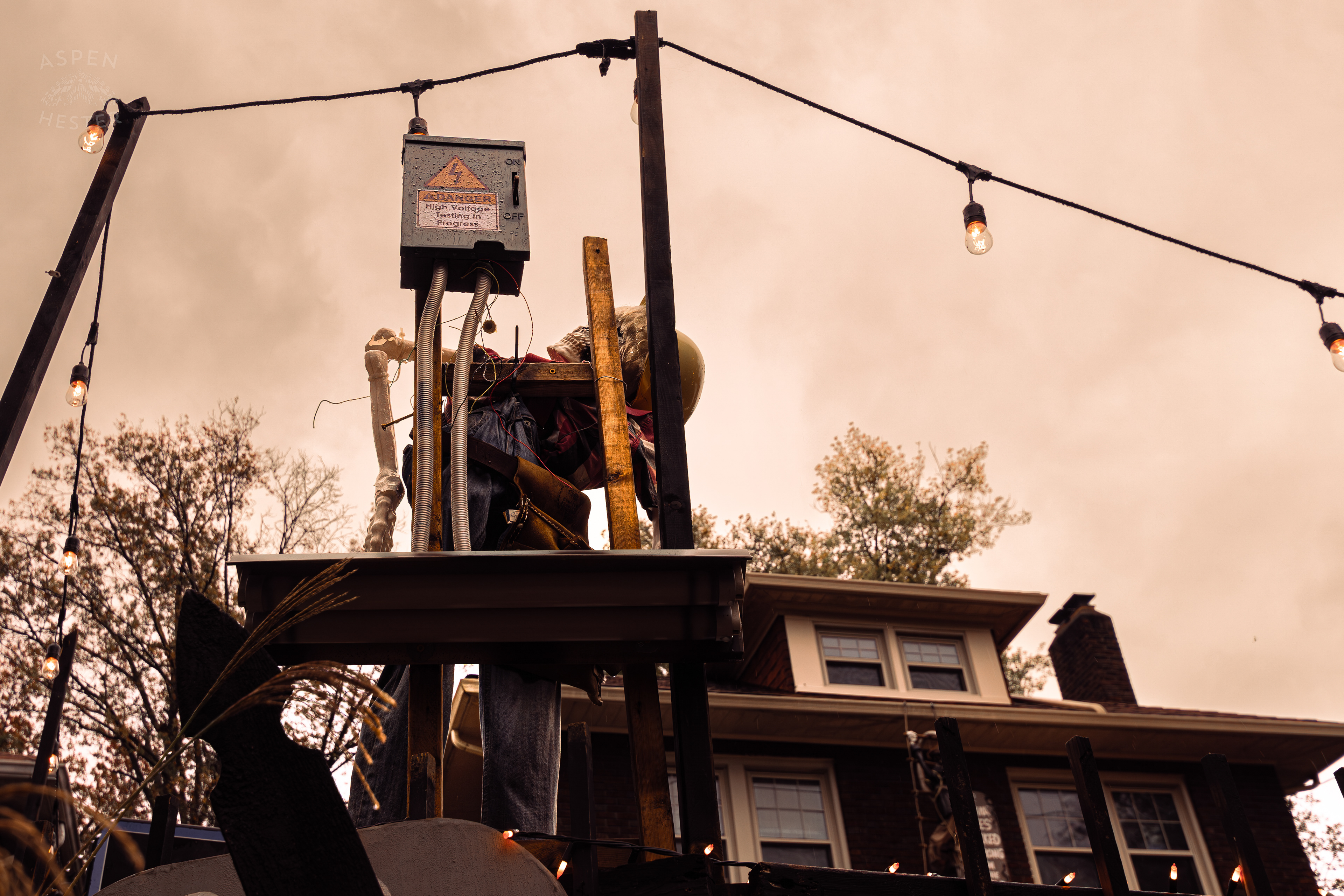Electrician Skeleton, You Can Imagine What Happened to Him Along Hillcrest Avenue on Halloween Night. October 31st, 2024/Aspen Hester