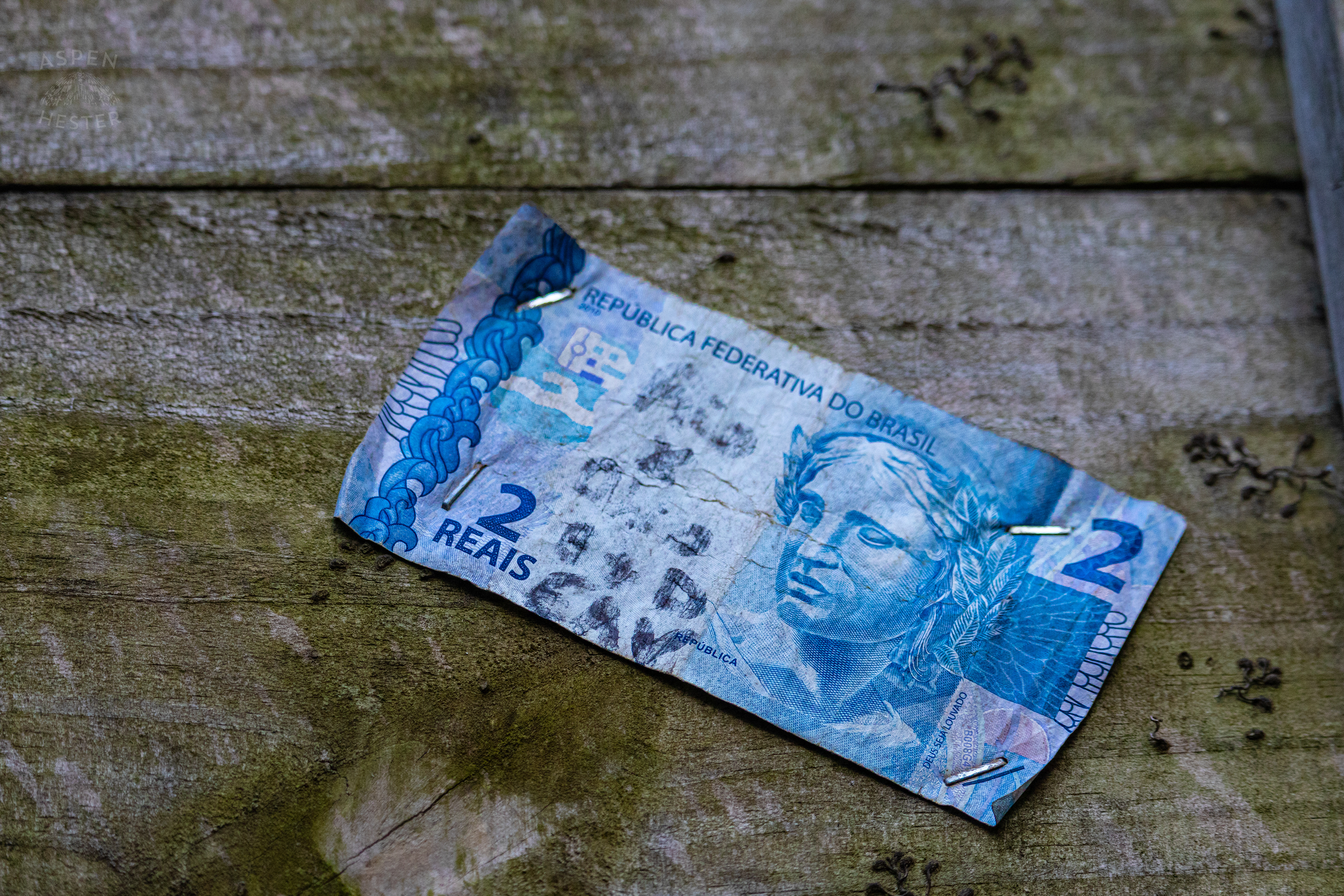 Dollar Bills Stapled to Huc-A-Poos Bites and Booze on Tybee Island Georgia. June 25th, 2024/Aspen Hester