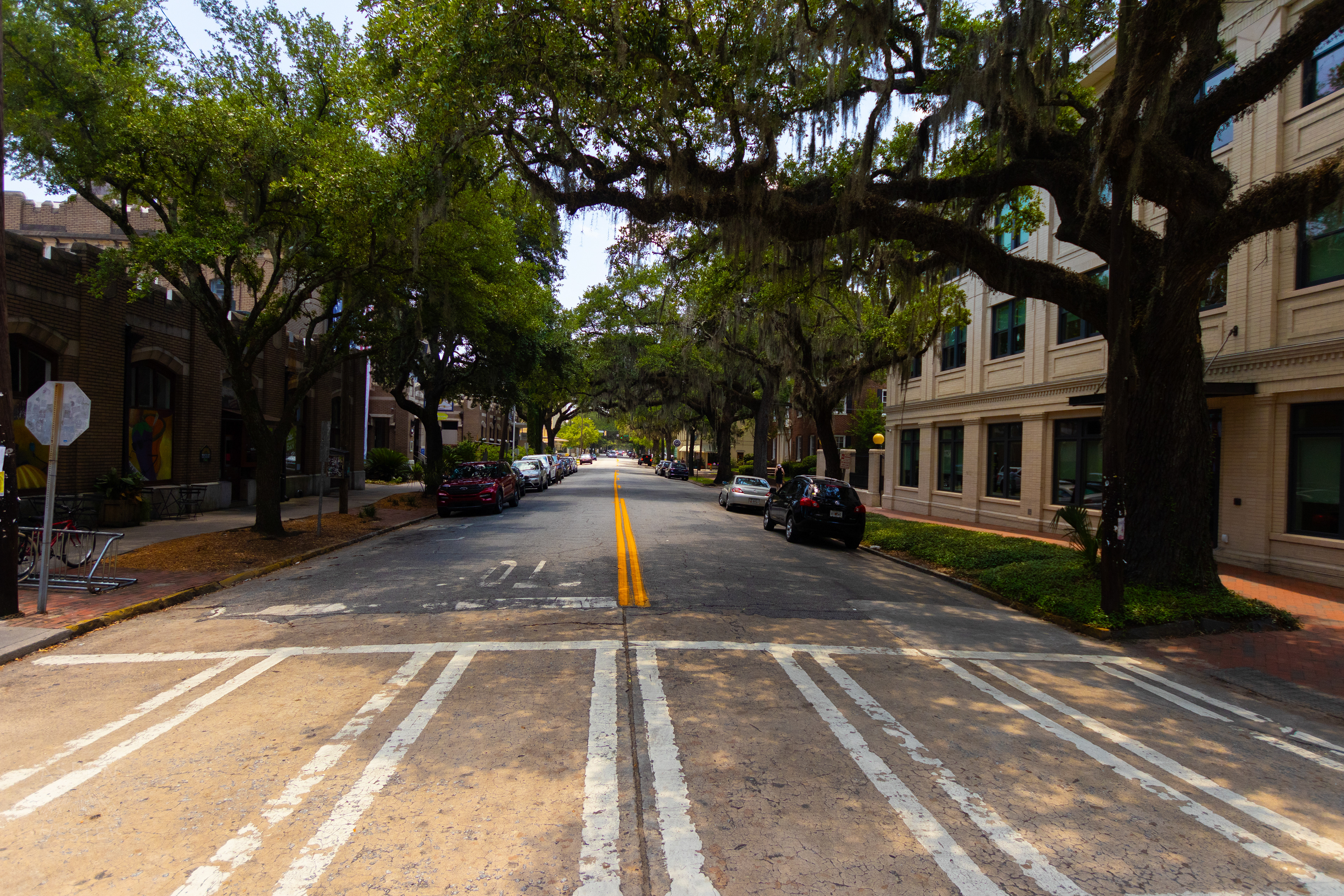 Street in Savannah Georgia. June 26th, 2024/Aspen Hester
