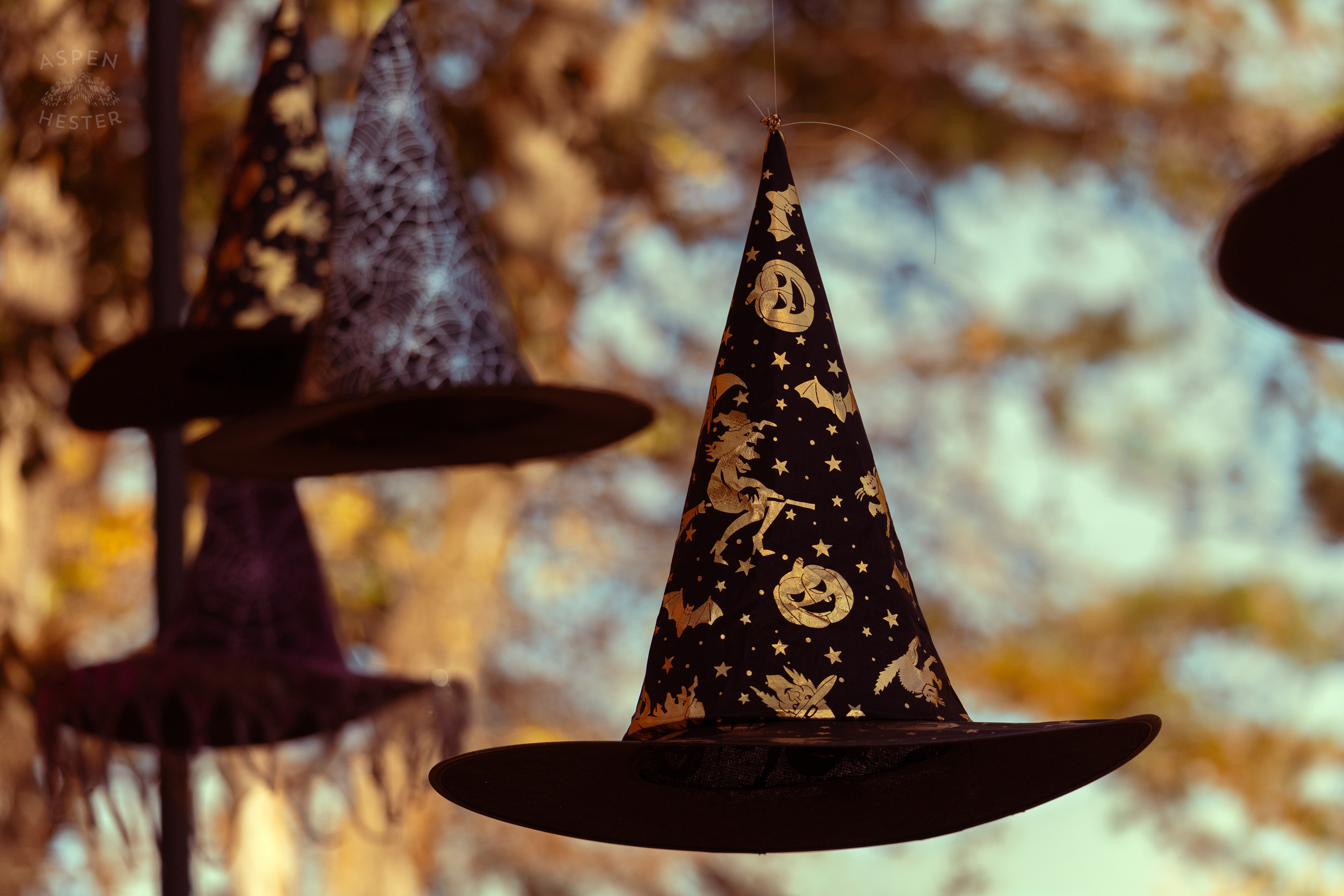Witch Hats Floating Above Dozens of Women Attending Stacey Edrington’s Yearly Witches Brunch in Mt. Washington. October 26th, 2024/Aspen Hester