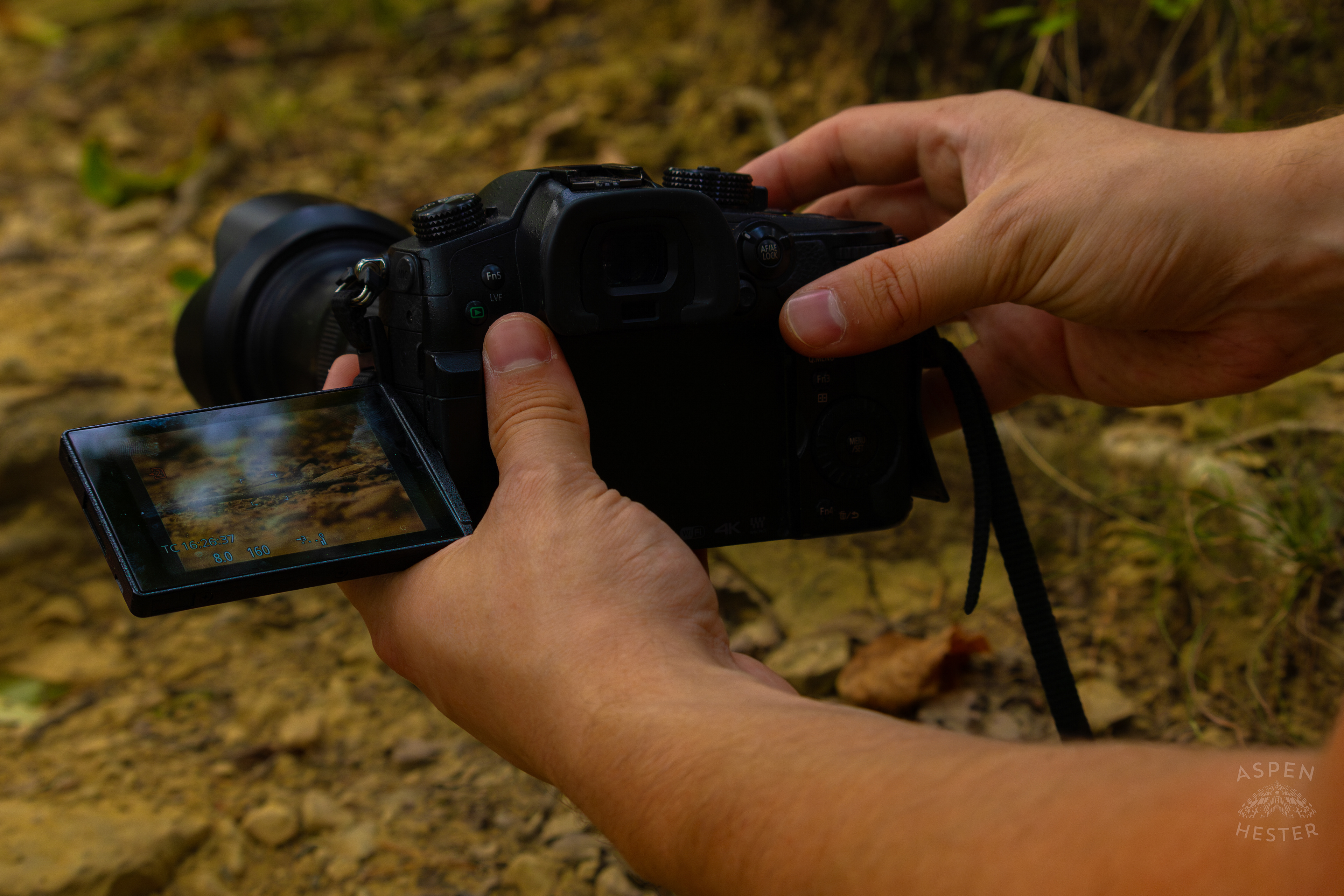Some Cute Dude Photographing A Blue-Tailed Damselfly Resting on A Stick Inside Jefferson Memorial Forest. September 3rd, 2024/Aspen Hester