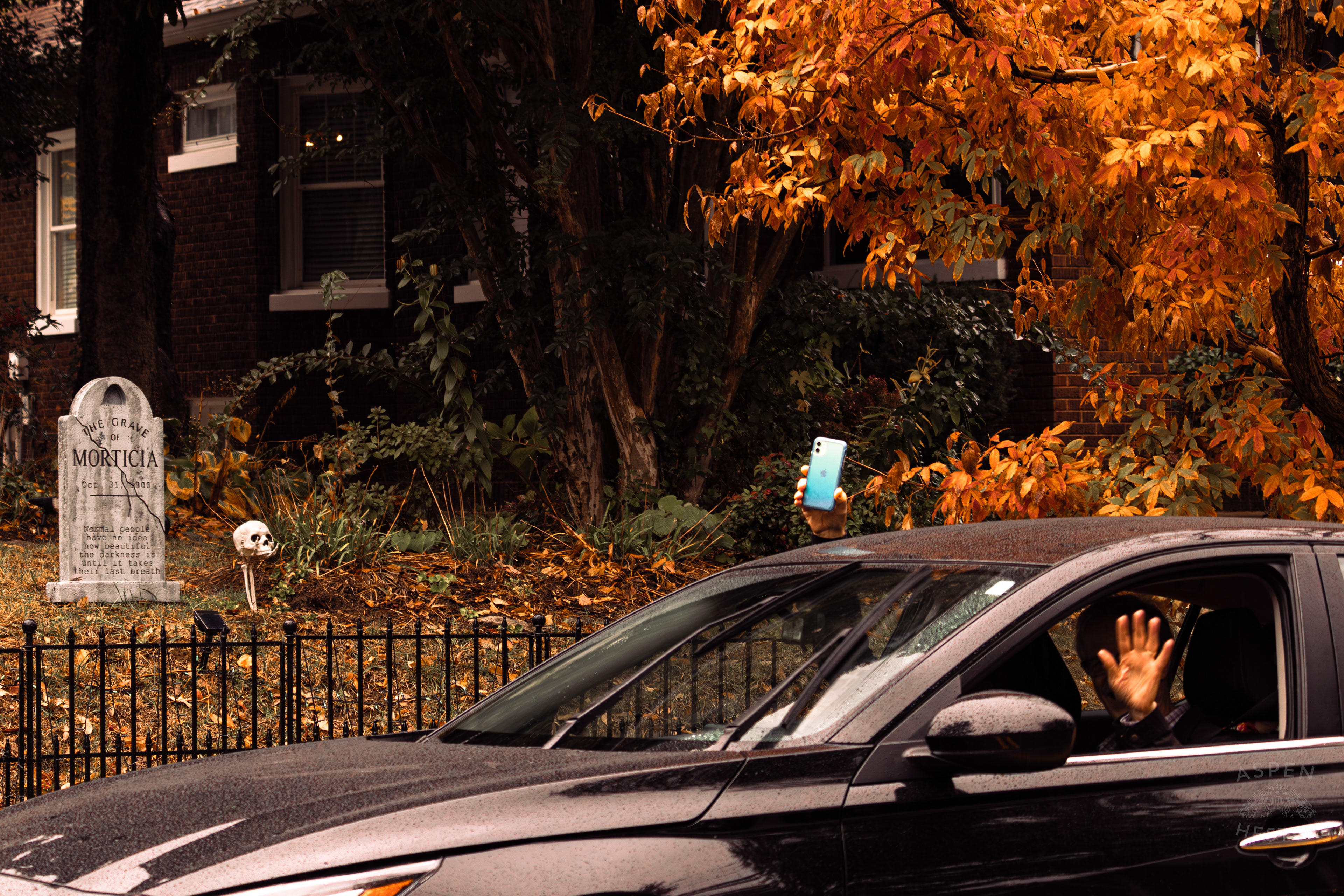 Fright Seekers Recording The Decorations Out of Their Window Along Hillcrest Avenue on Halloween Night. October 31st, 2024/Aspen Hester
