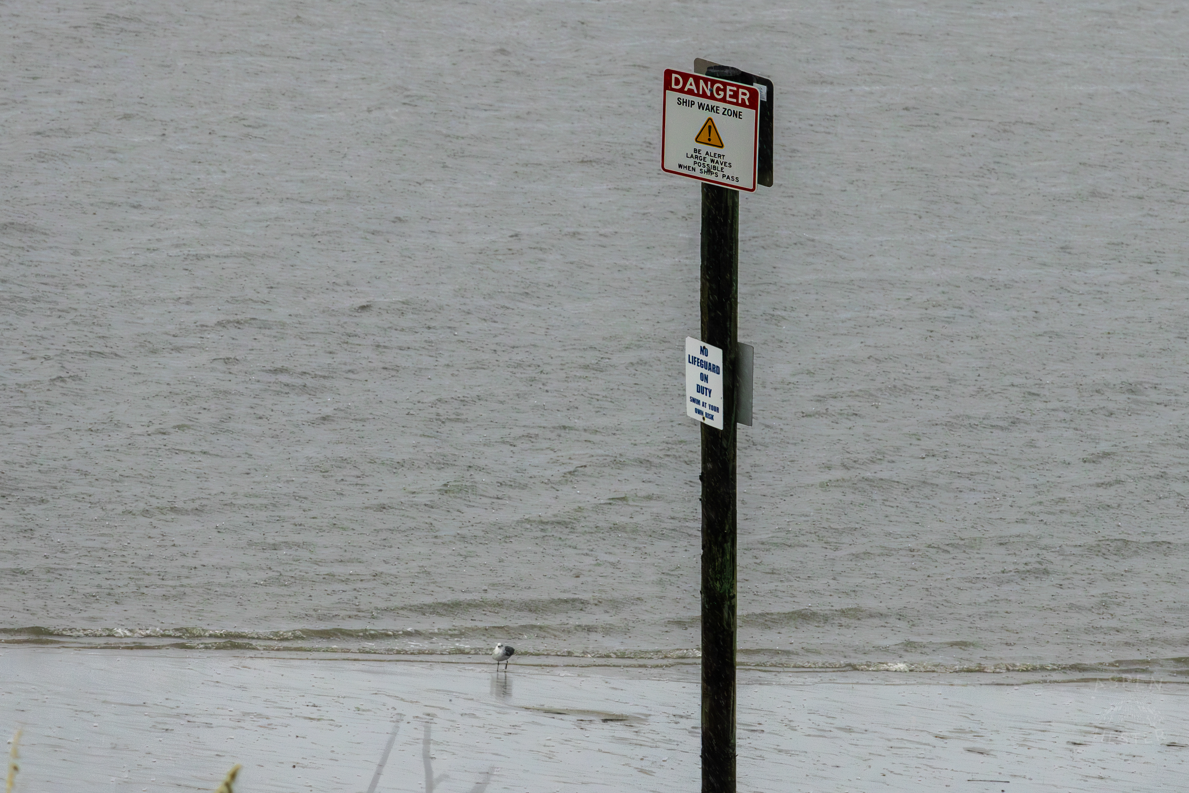 The Beach as A Thunderstorm Rolls Over Tybee Island Georgia. June 27th, 2024/Aspen Hester