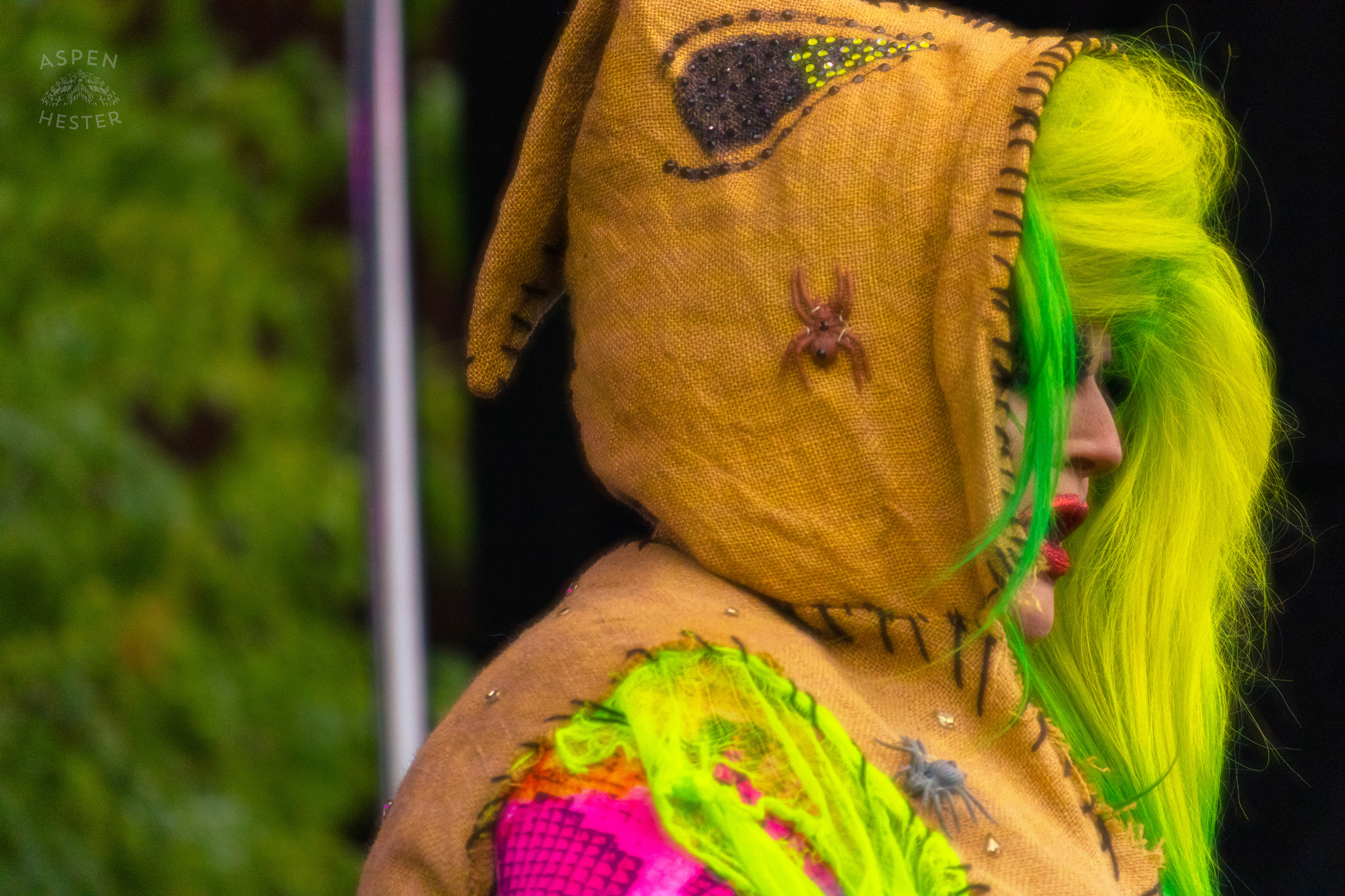 Drag Queen Performing as The Oogie Boogie Woman From the Movie The Nightmare Before Christmas During Pride Bar's Family Friendly Drag Show at Southern Indiana Pride. June 1st, 2024/Aspen Hester