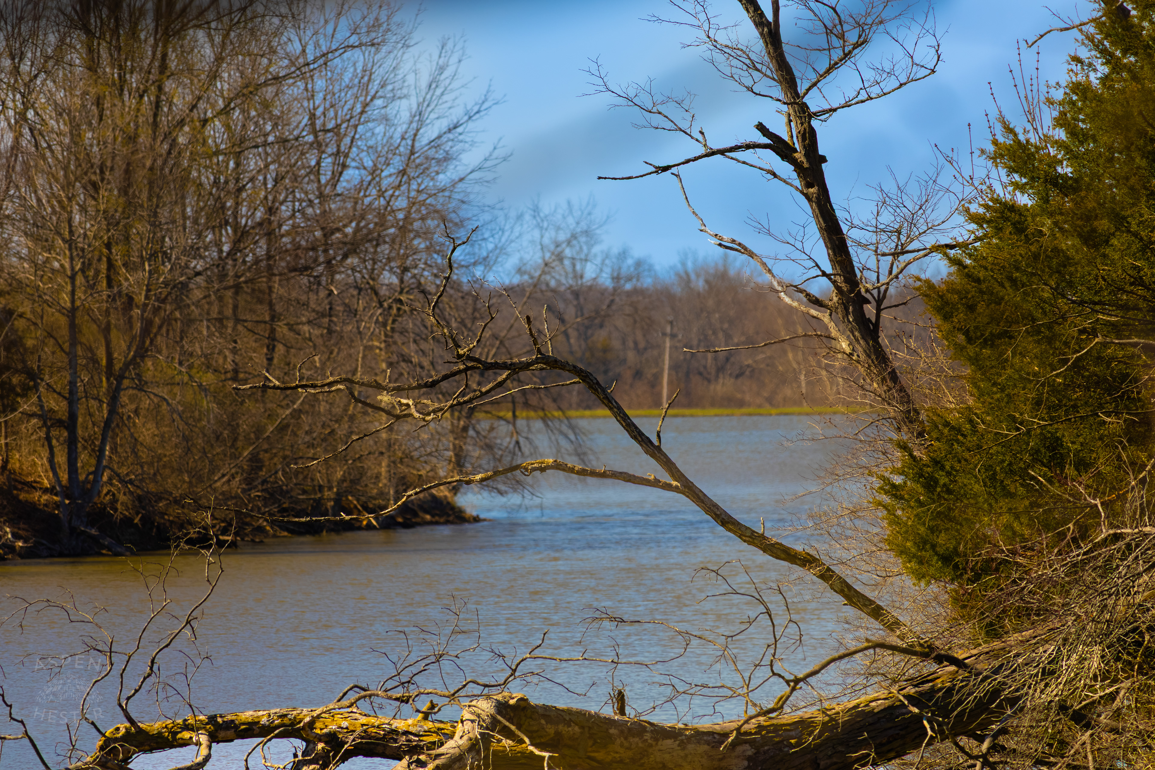 Cedar Creek Widening Into Reformatory Lake in Wendell Moore Park Right Before Spring. March 18th, 2025/Aspen Hester