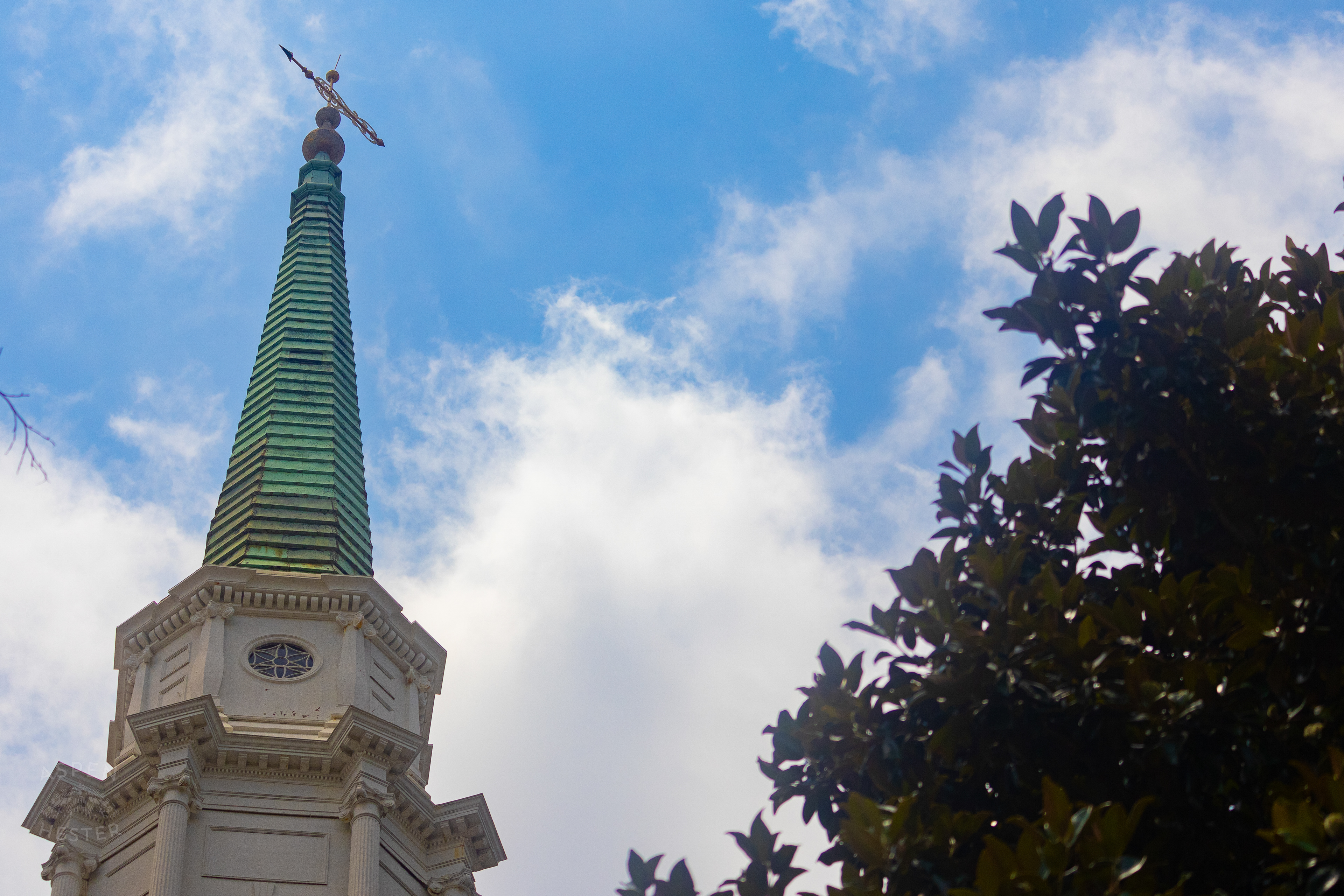 Steeple of The Independent Presbyterian Church in Savannah Georgia. June 26th, 2024/Aspen Hester