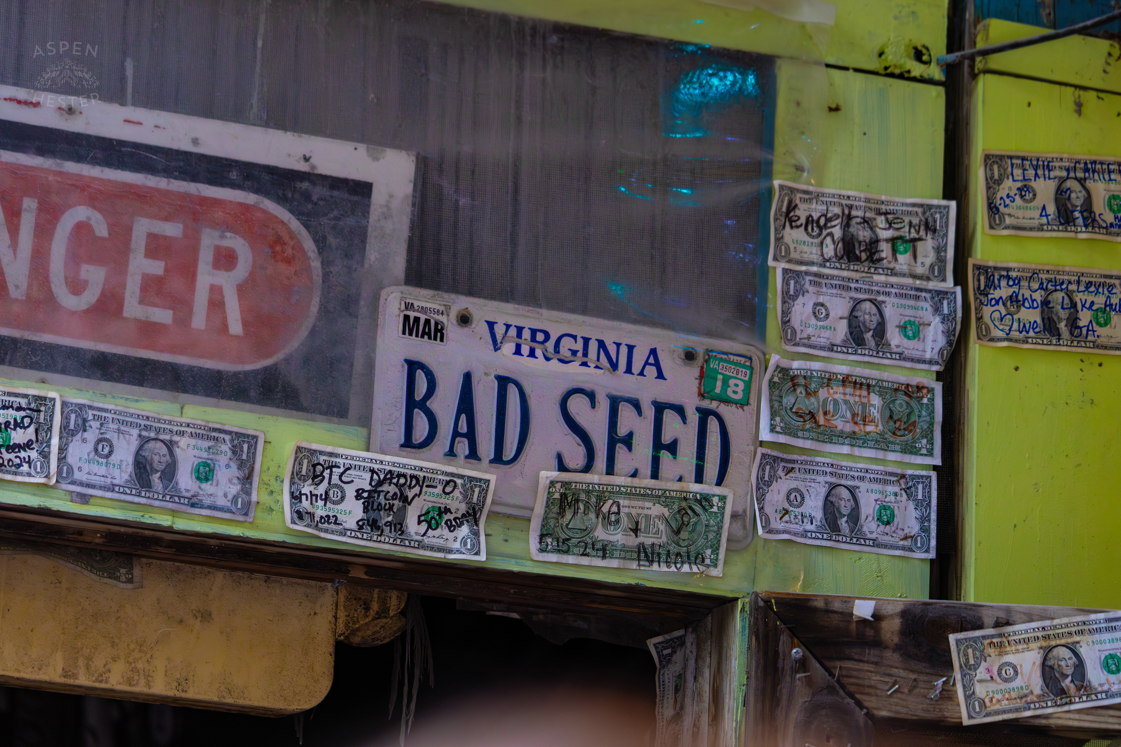 Dollar Bills Stapled to Huc-A-Poos Bites and Booze on Tybee Island Georgia. June 25th, 2024/Aspen Hester