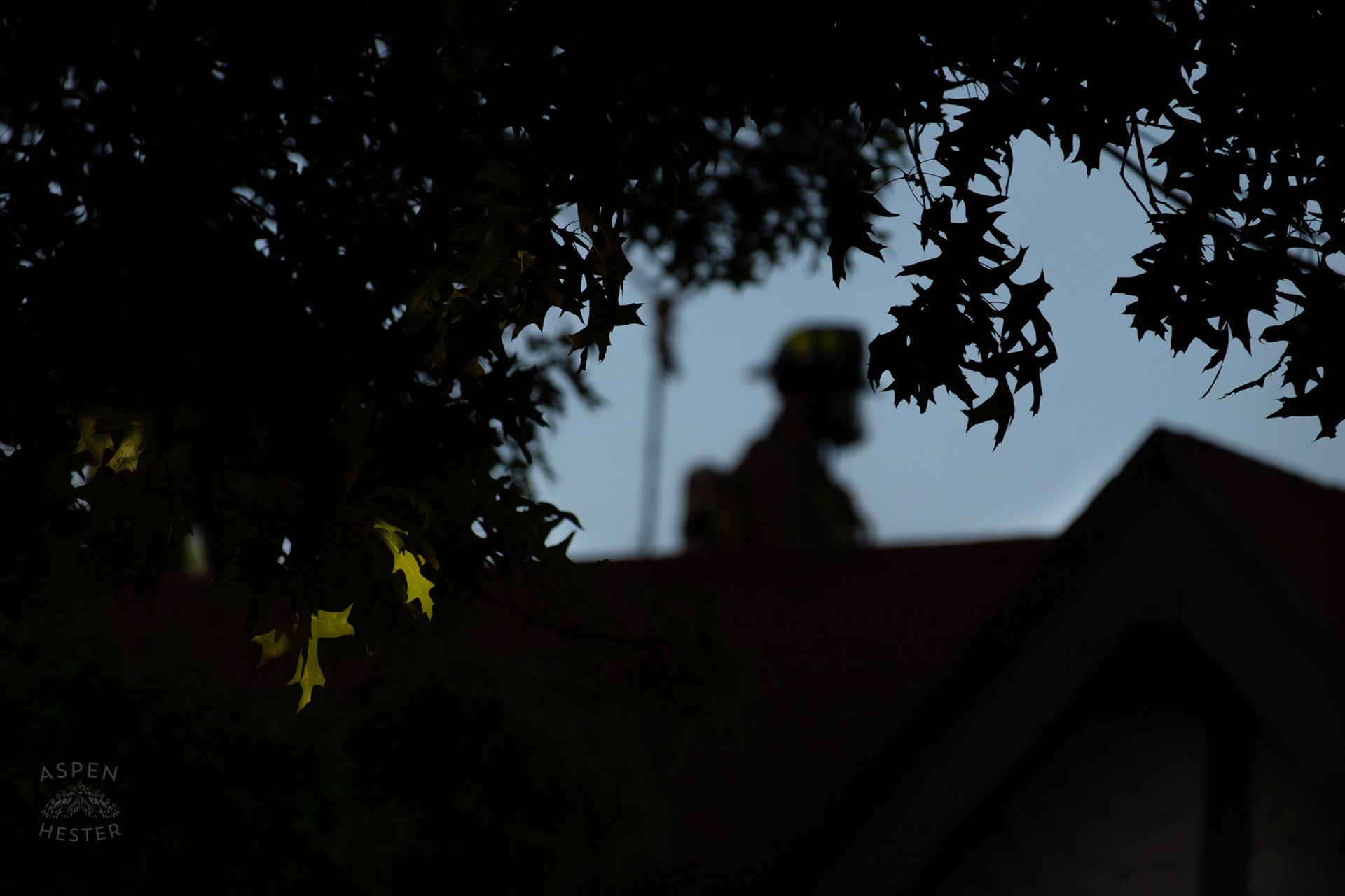 Louisville Firefighter on The Roof of A Burning Building on The Corner of 2nd and Oak Street. June 7th, 2024/Aspen Hester