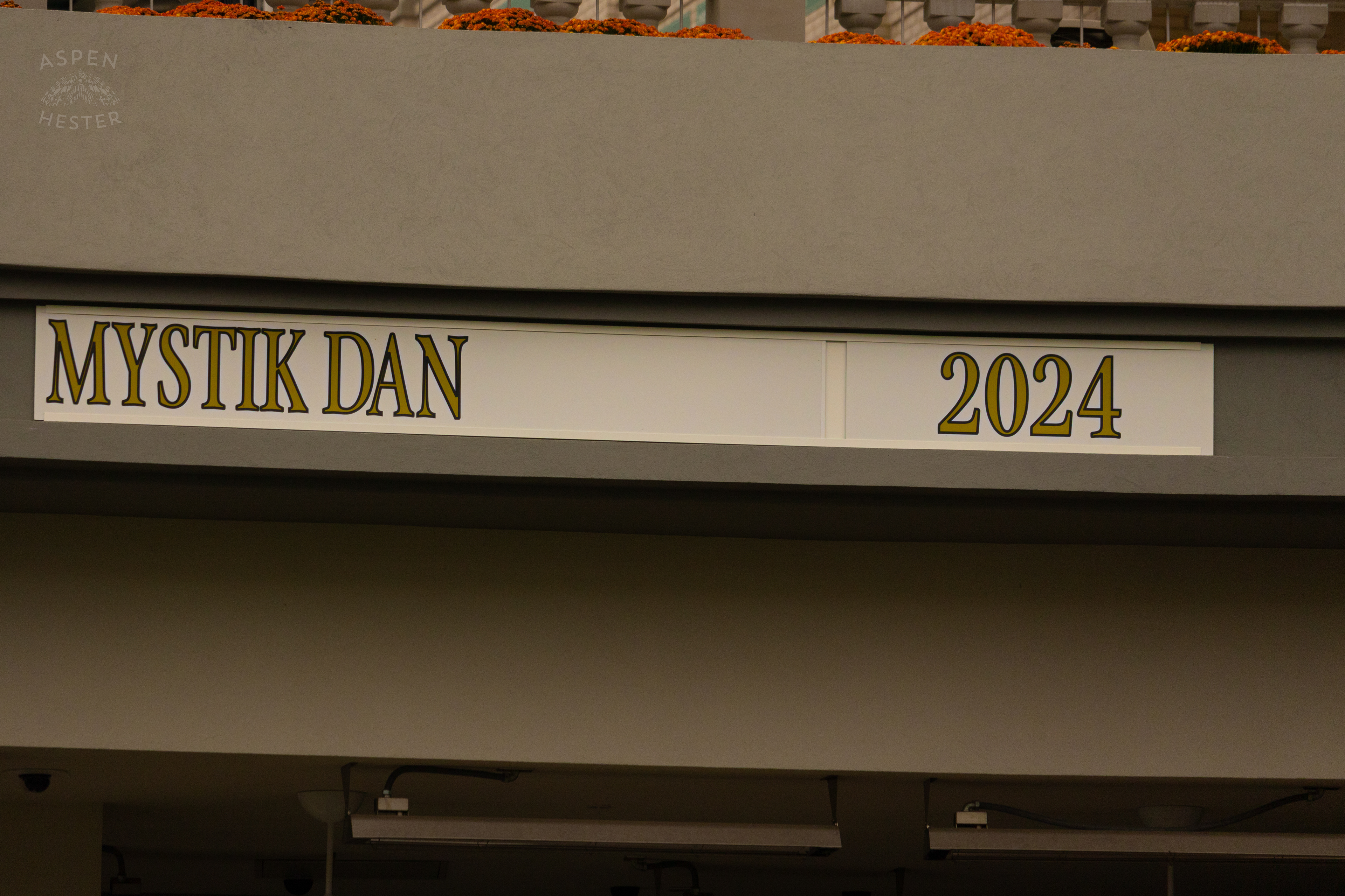 “Mystik Dan” Plaque, The Winner of The 2024 Derby On The Day Bob Baffert Returned to Churchill Downs After A 3 Year Suspension. November 27th, 2024/Aspen Hester