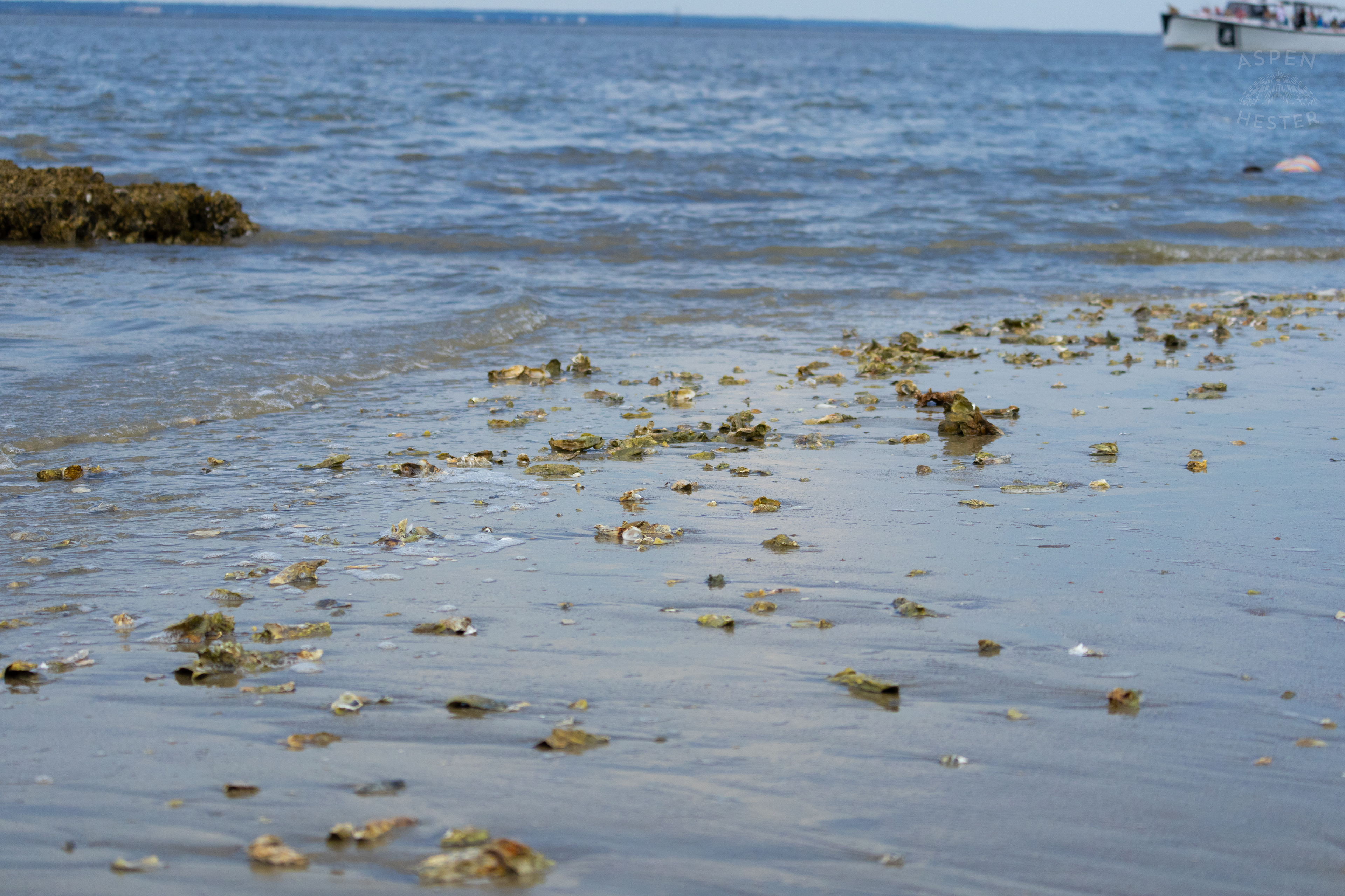 The Coast Of Tybee Island Georgia. June 24th, 2024/Aspen Hester