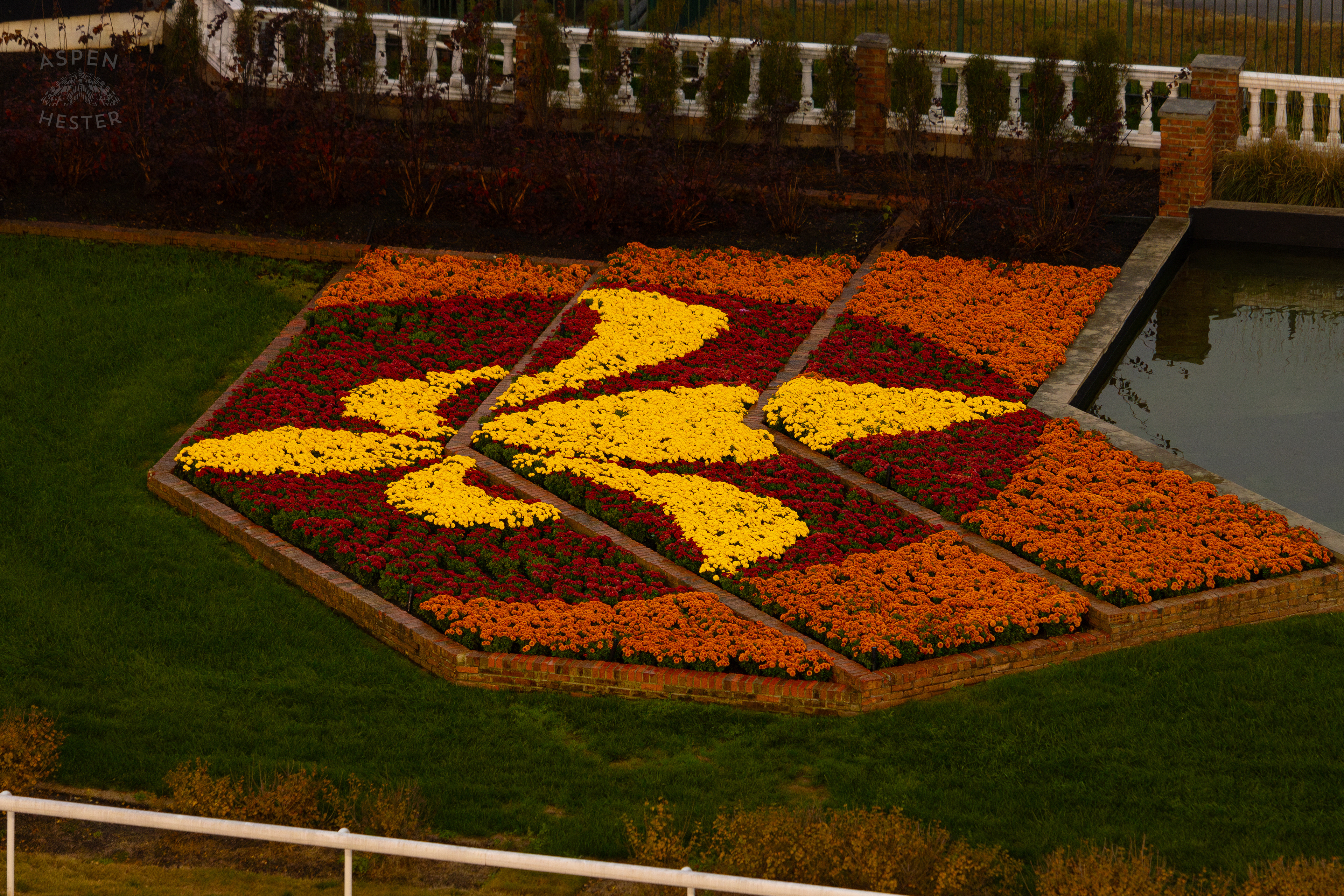 Fleur De Lea Landscaping Surrounding The Churchill Downs Pagoda On The Day Bob Baffert Returned After A 3 Year Suspension. November 27th, 2024/Aspen Hester