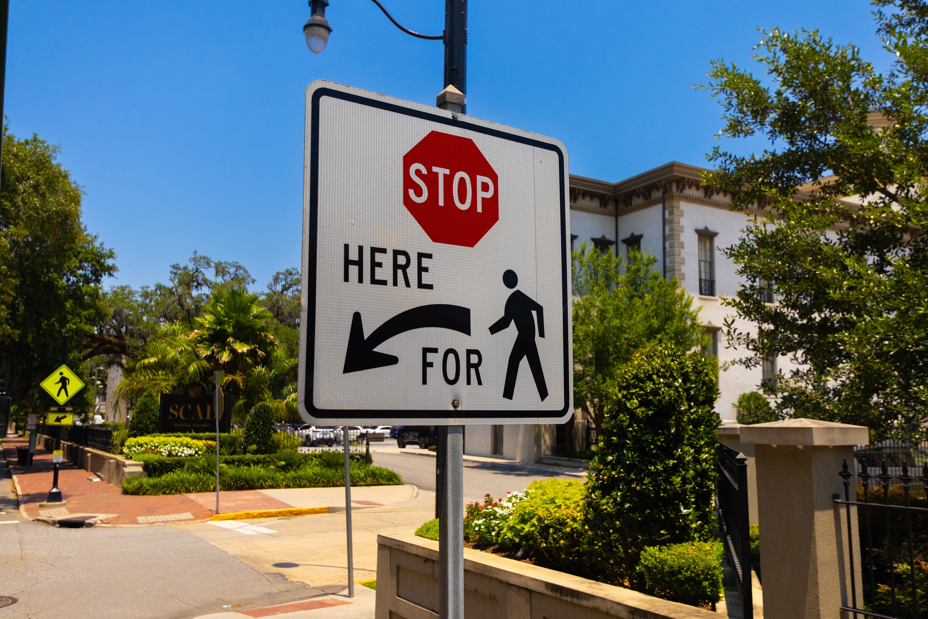 Savannah Georgia. June 26th, 2024/Aspen Hester