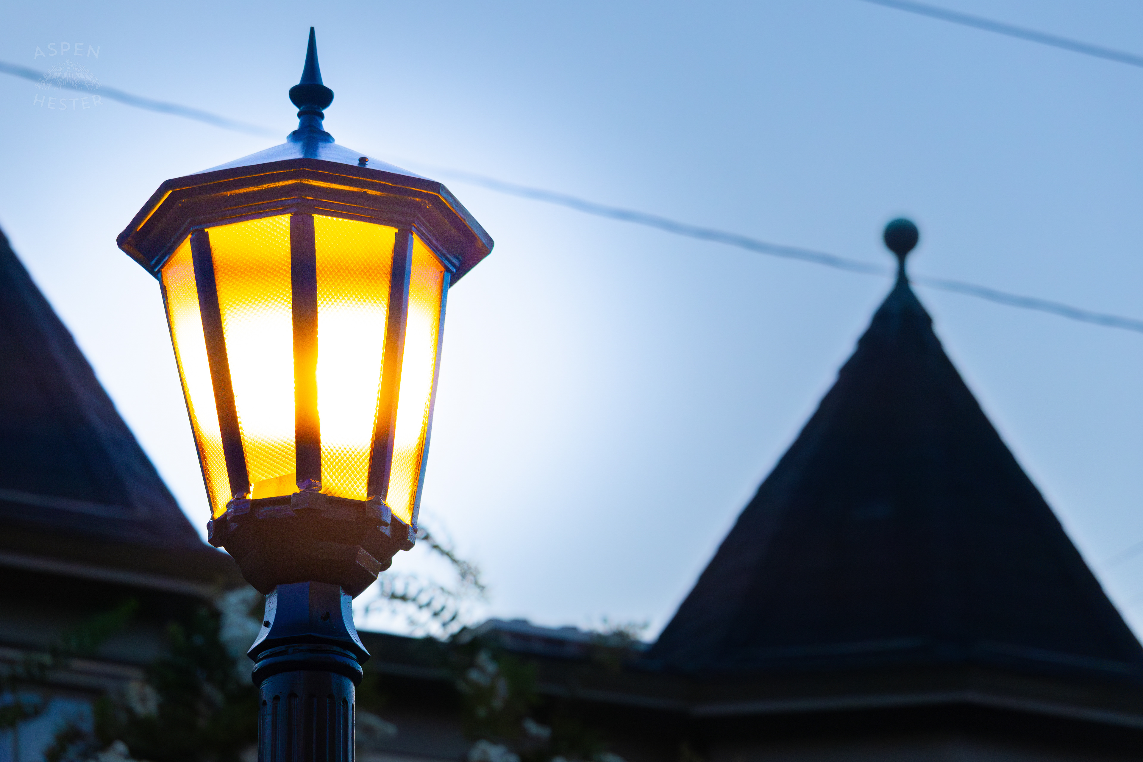 Street Light In Savannah Georgia. June 24th, 2024/Aspen Hester