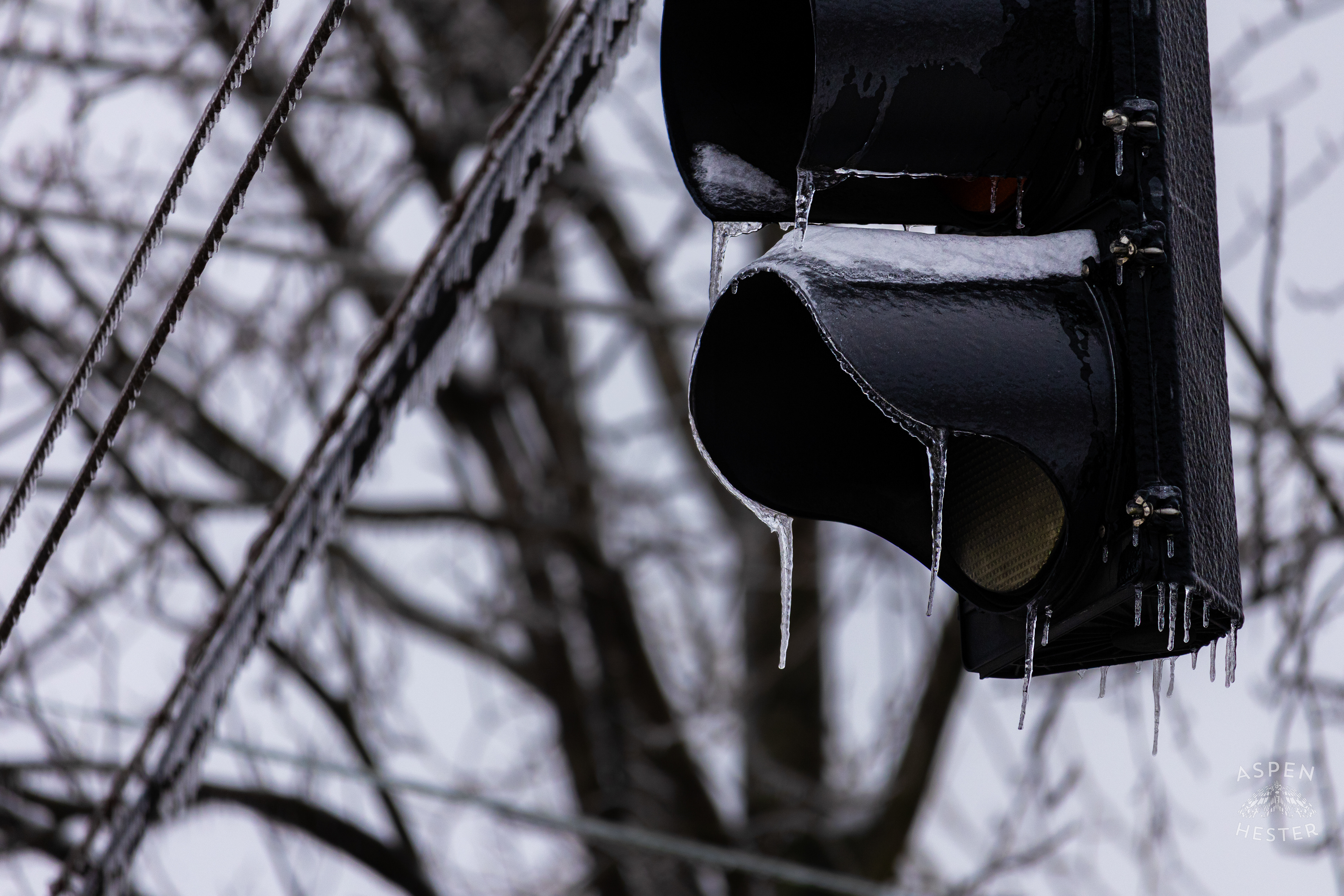 Waverly Hills Stoplight Without Power, Covered in Snow and Ice at The Intersection of Arnoldtown Road and Third Street Road Caused by Winter Storm Blair. January 6th, 2025/Aspen Hester