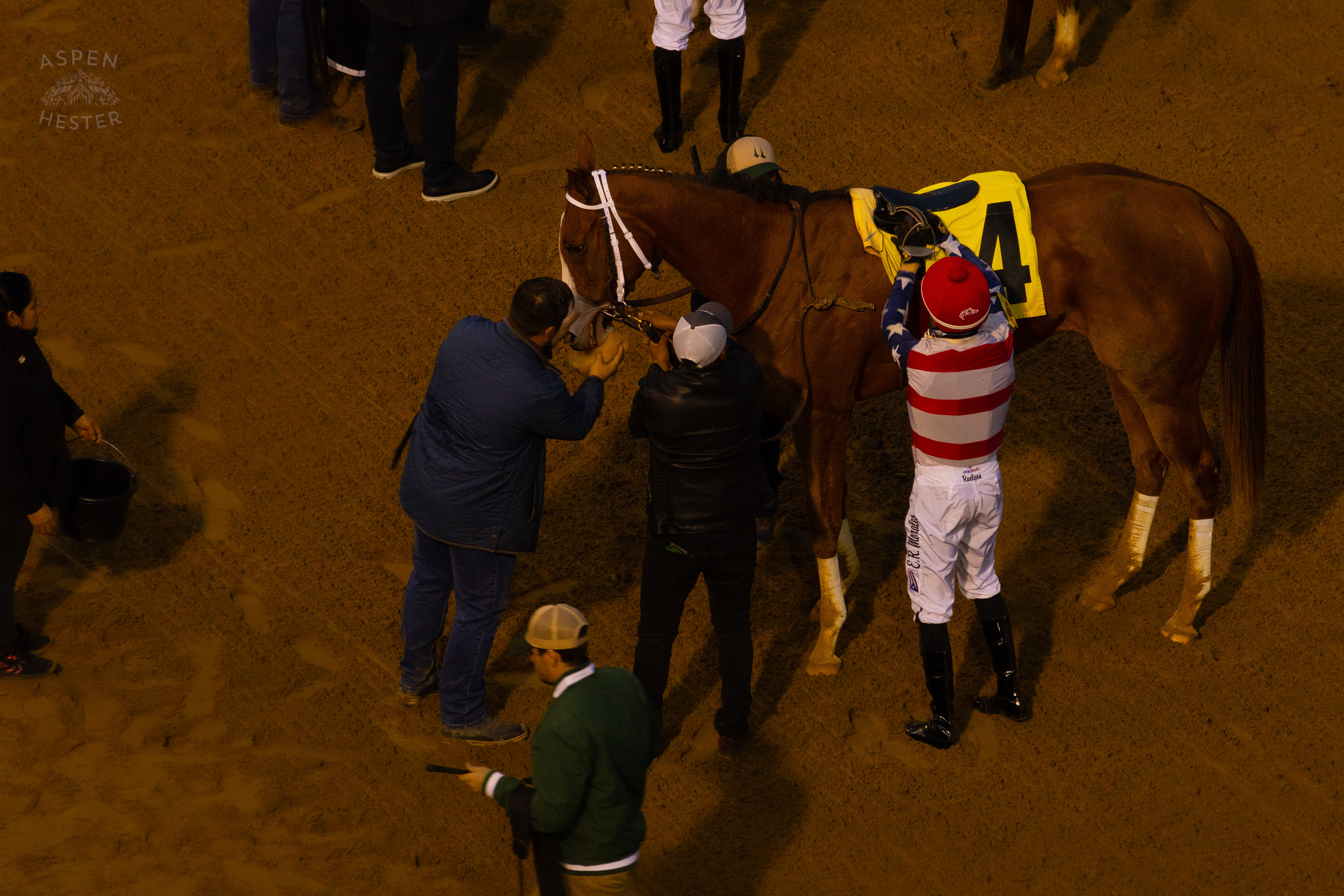 Horse #4 Queen’s Martini and Jockey Ricardo Santana Jr. After Running in Race 9 On The Day Bob Baffert Returned to Churchill Downs After A 3 Year Suspension. November 27th, 2024/Aspen Hester