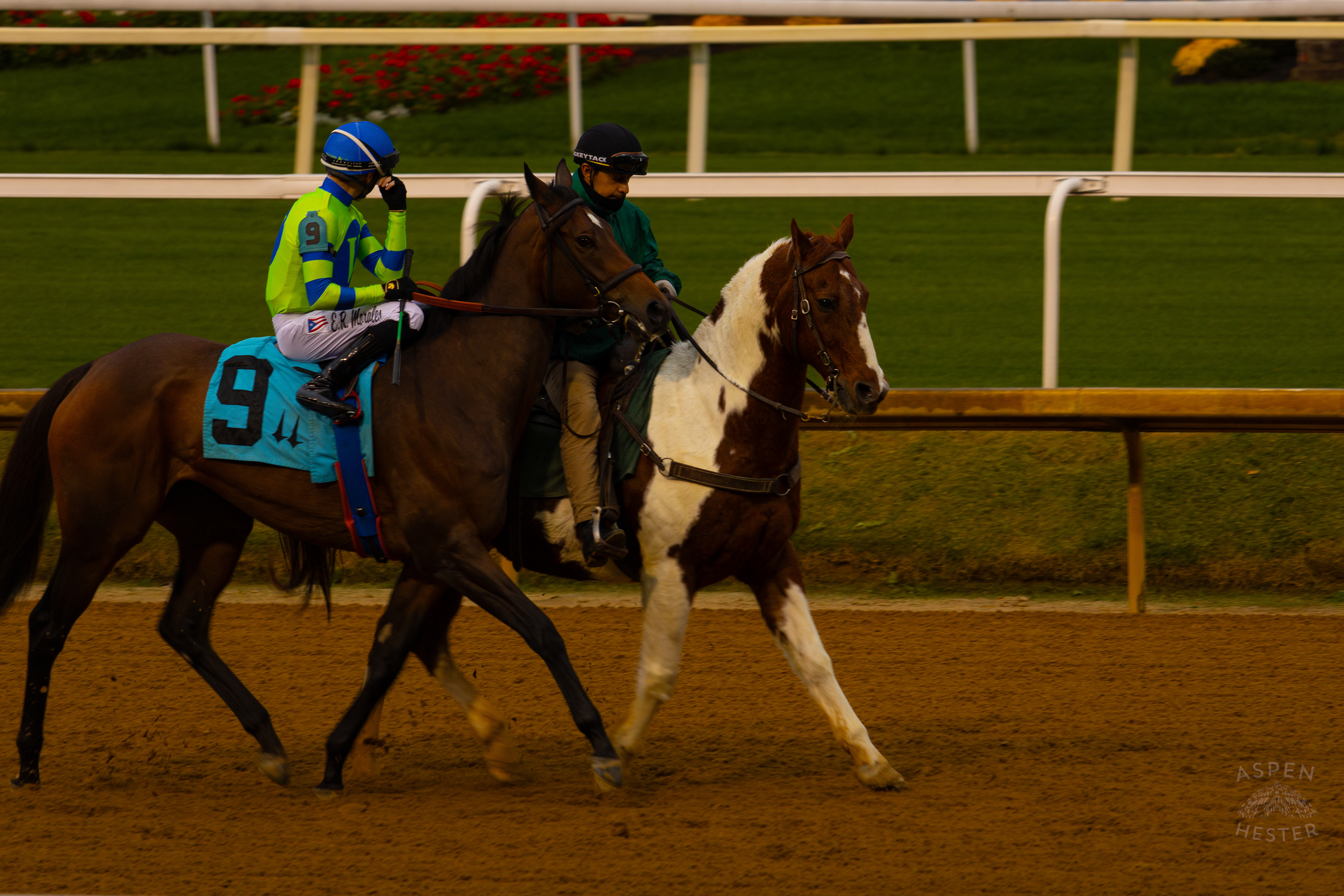 Horse #9 Sister Kisses Ridden by Jockey Edgar Morales Being Led to The Starting Gate for Race 8 On The Day Bob Baffert Returned to Churchill Downs After A 3 Year Suspension. November 27th, 2024/Aspen Hester