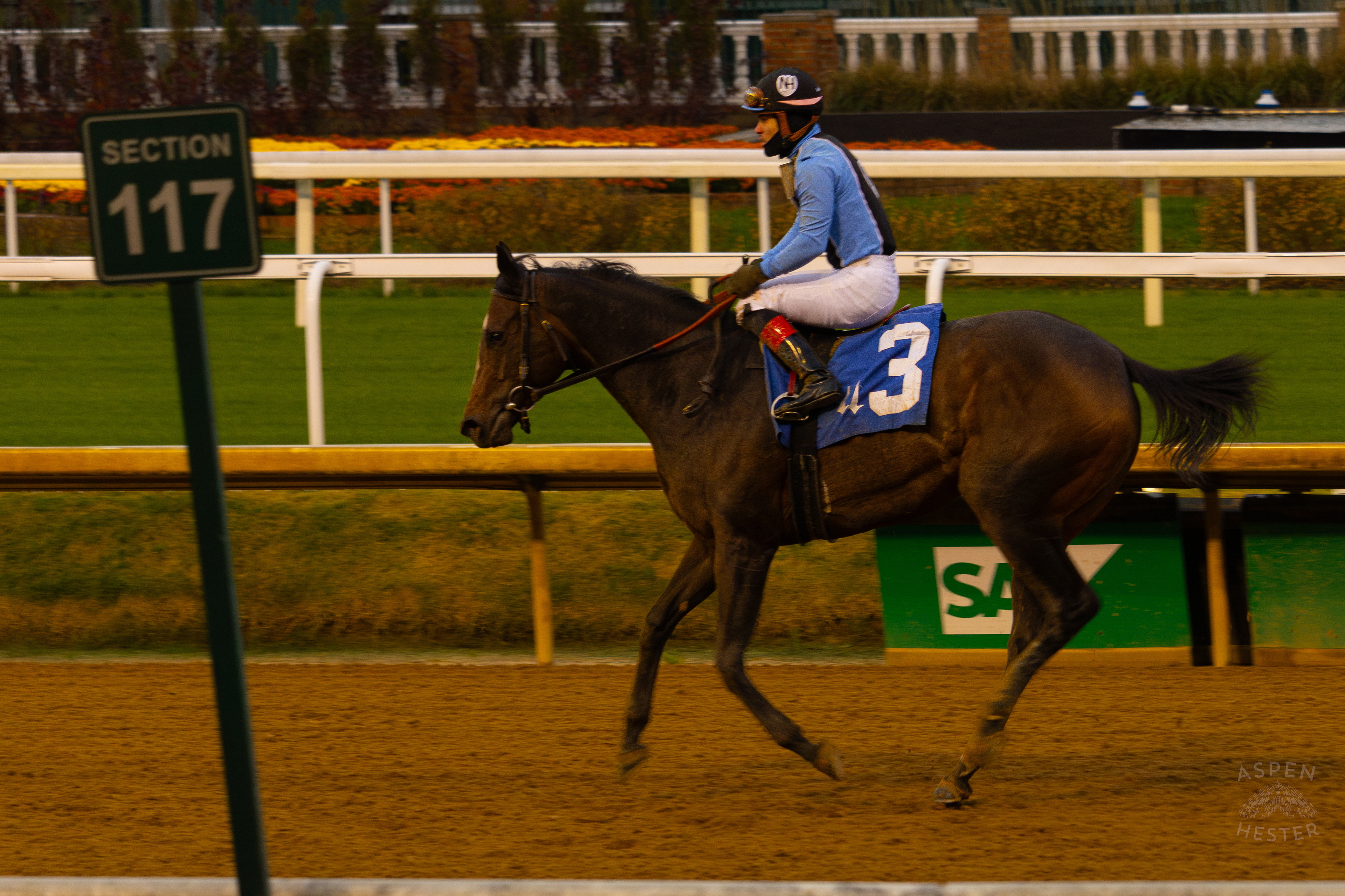 Horse #3 Yo Puedo Ridden by Jockey Cristian Torres After Running in Race 8 On The Day Bob Baffert Returned to Churchill Downs After A 3 Year Suspension. November 27th, 2024/Aspen Hester