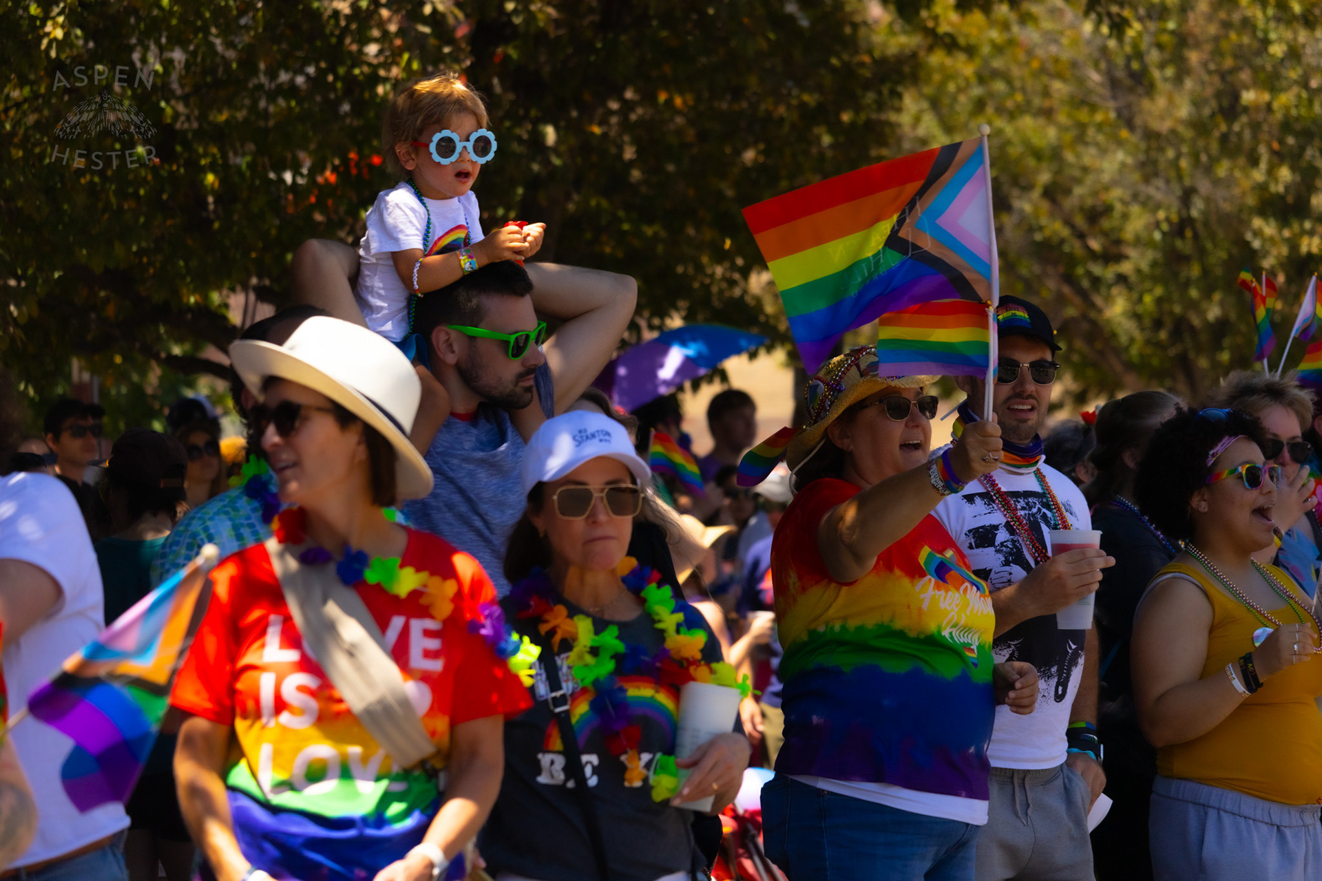 The Kentuckiana Pride Parade Watchers. June 15th, 2024/Aspen Hester