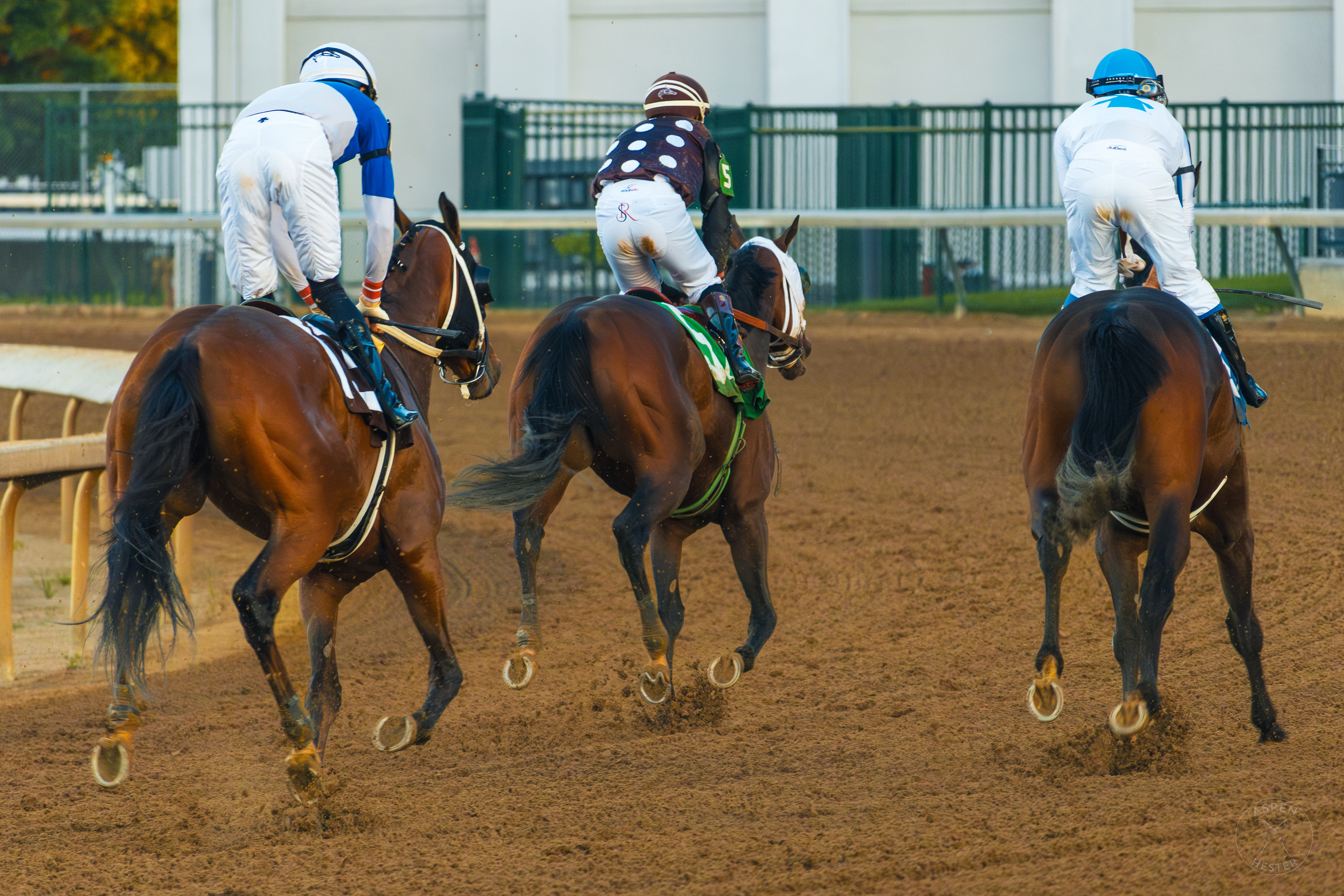 Horses Racing at Downs After Dark. May 18th, 2024/Aspen Hester