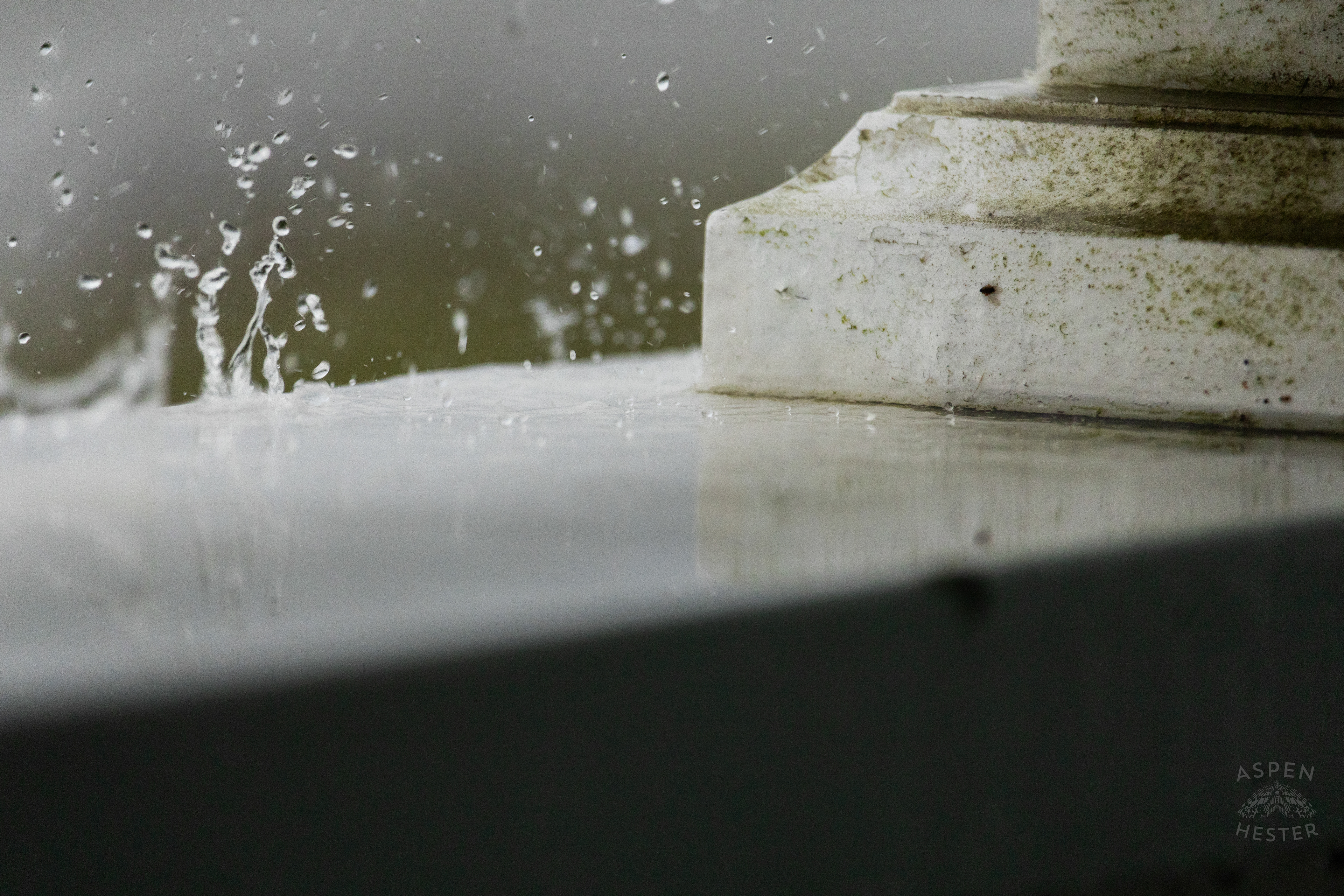 Raindrops as A Thunderstorm Rolls Over Tybee Island Georgia. June 27th, 2024/Aspen Hester
