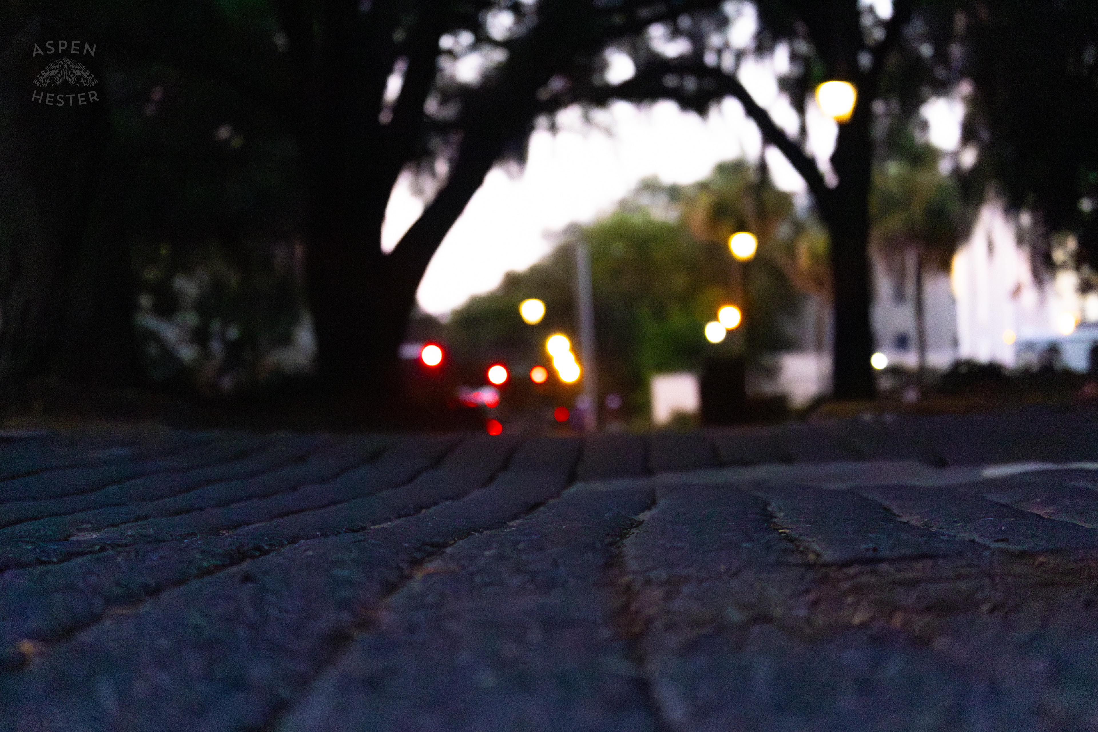 Lafayette Square at Sunset Savannah Georgia. June 24th, 2024/Aspen Hester