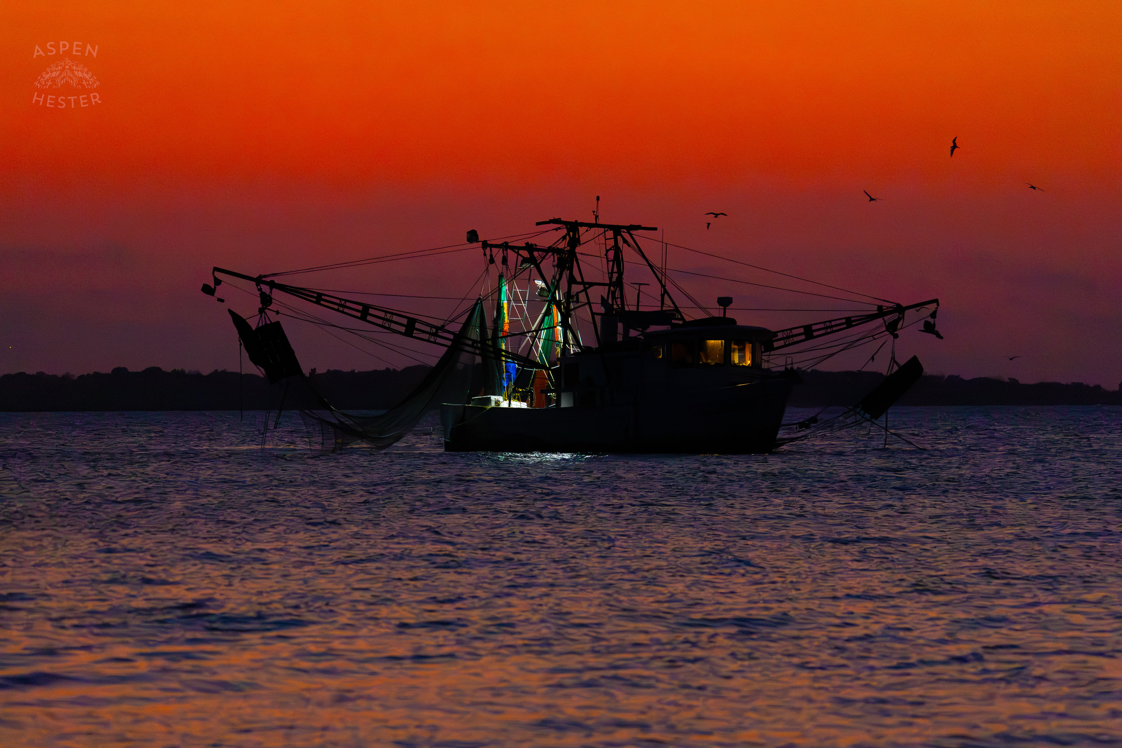 The ‘Amanda Lynn’ in the Waters of Tybee Island Georgia. June 25th, 2024/Aspen Hester