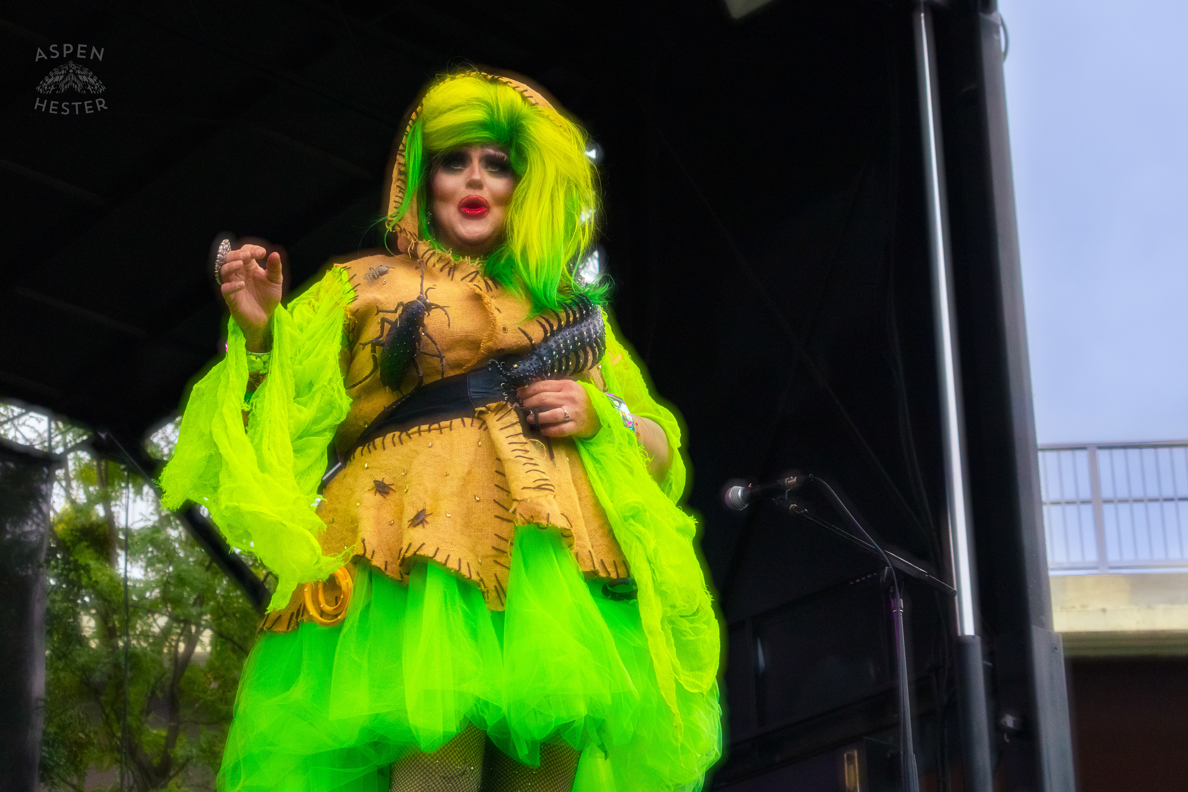 Drag Queen Performing as The Oogie Boogie Woman From the Movie The Nightmare Before Christmas During Pride Bar's Family Friendly Drag Show at Southern Indiana Pride. June 1st, 2024/Aspen Hester