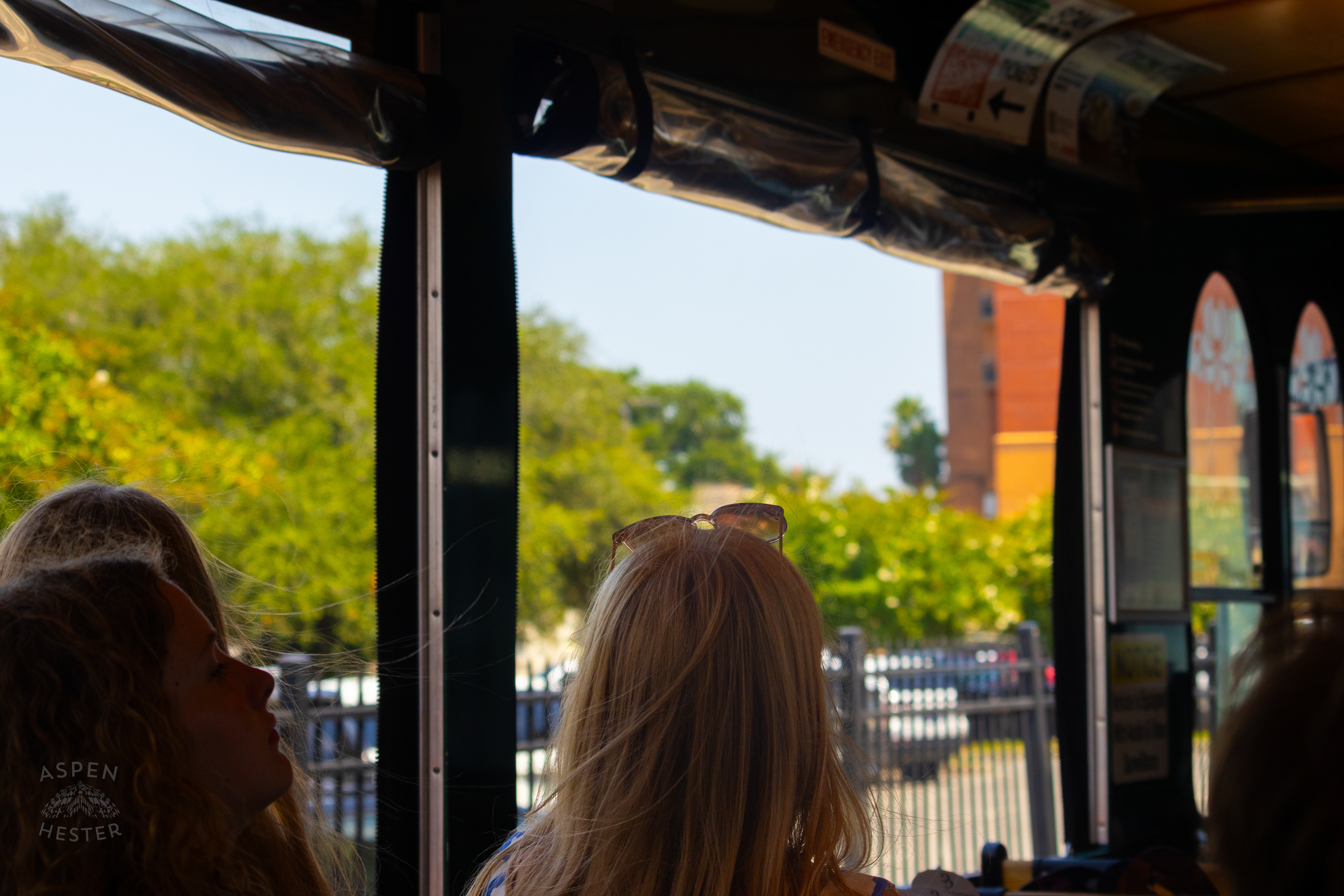 Trolly Riders in Savannah Georgia. June 26th, 2024/Aspen Hester