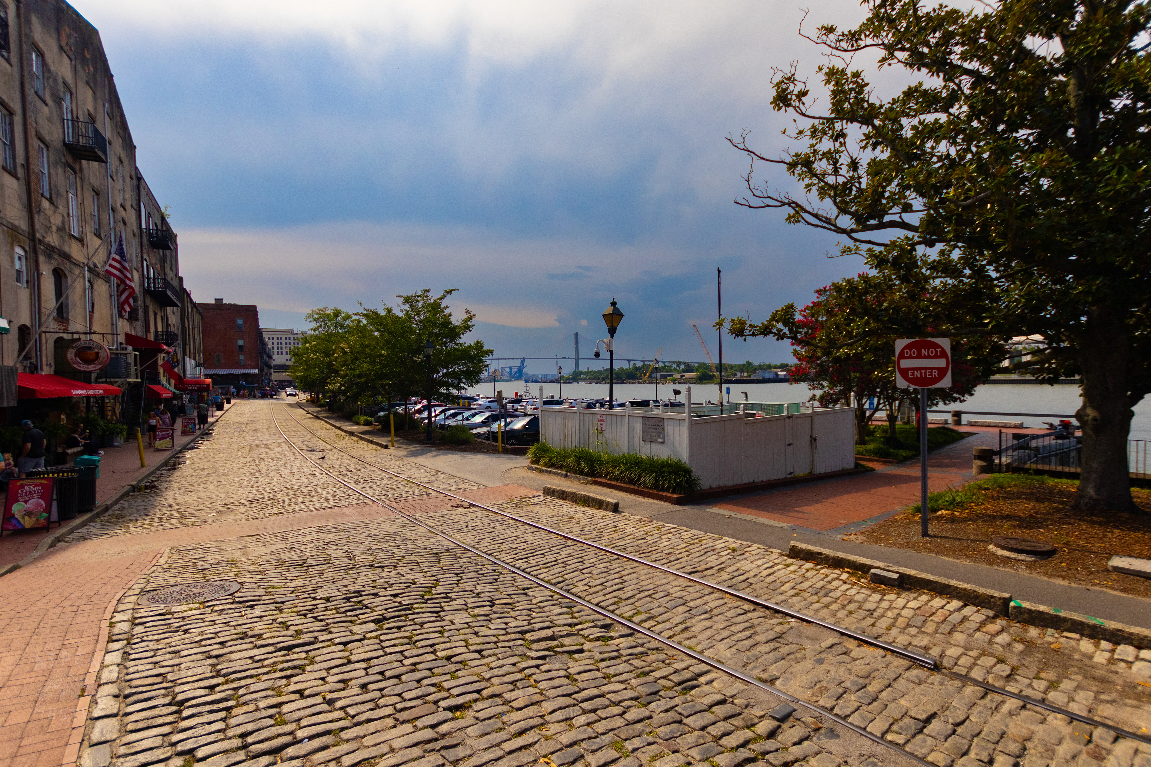The Talmadge Memorial Bridge From River Street in Savannah Georgia. June 26th, 2024/Aspen Hester
