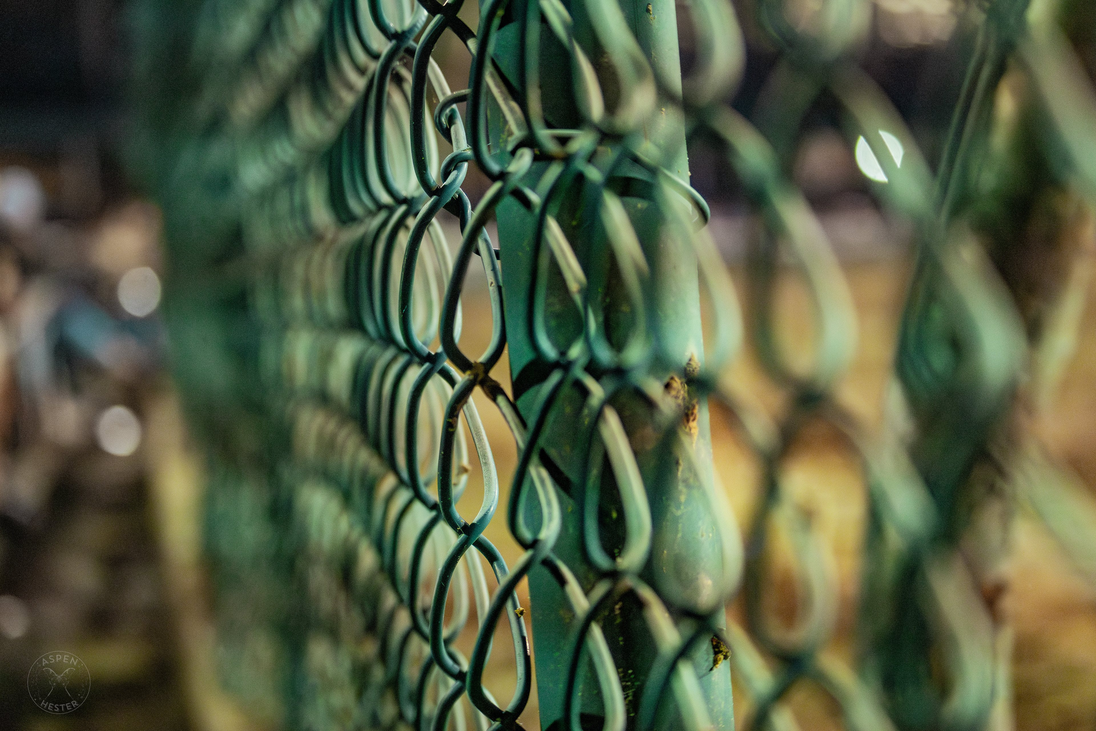 Track Gate at Downs After Dark. May 18th, 2024/Aspen Hester