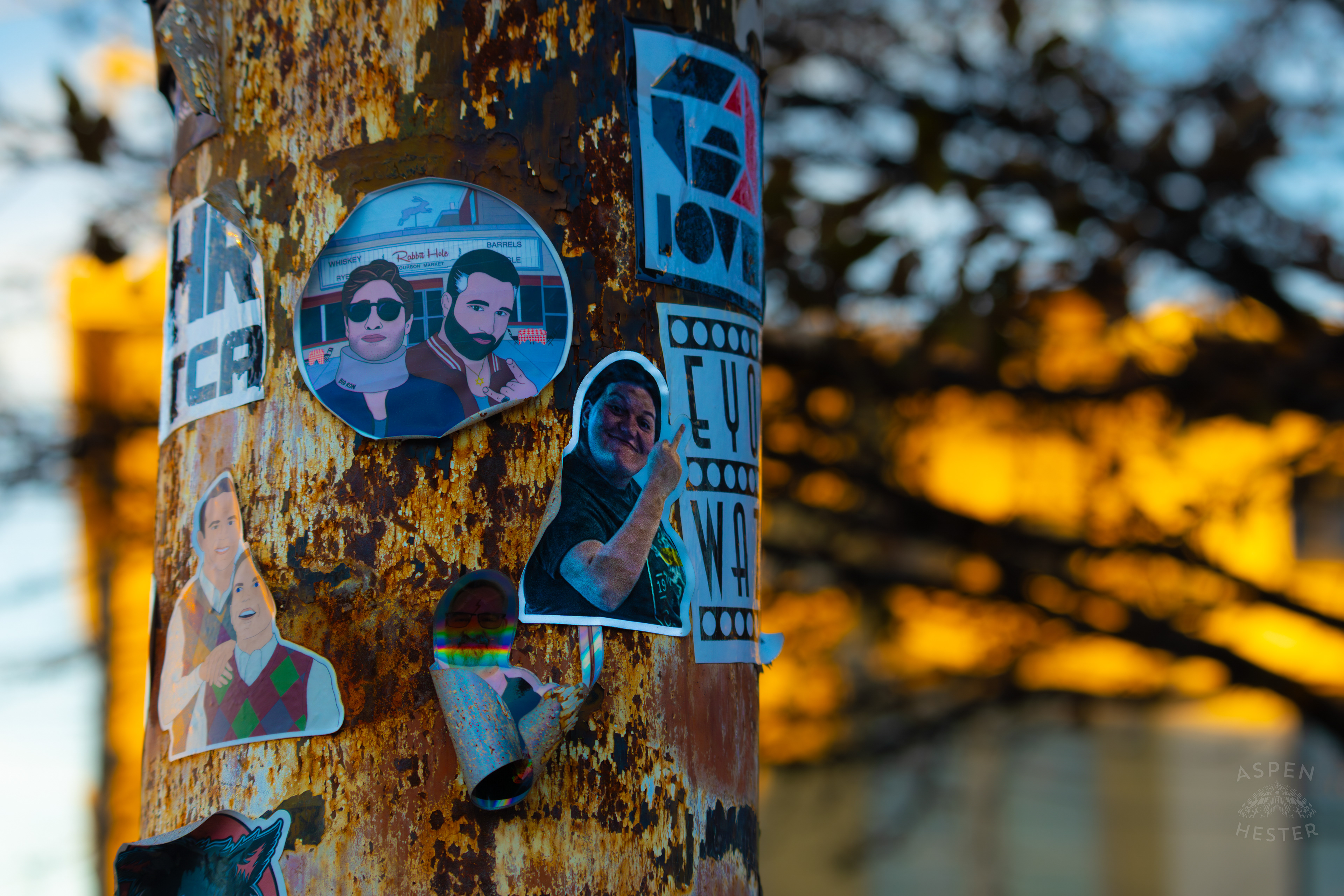 A Random Person Giving The Middle Finger as A Sticker on A Power Pole In Nulu on A Saturday Evening. November 14th, 2024/Aspen Hester