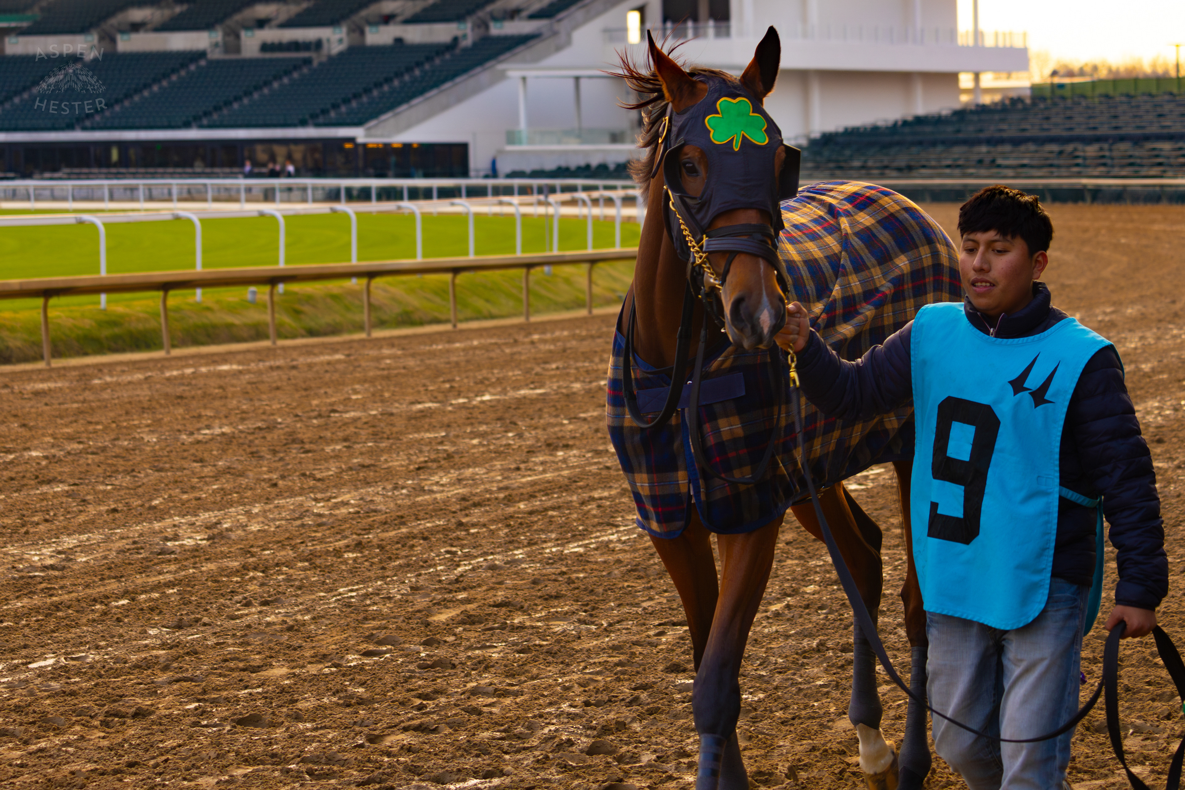 Horse #9 Adrasteia Being Led to The Starting Gate for Race 11 During The Thanksgiving Day Festivities At Churchill Downs. November 28th, 2024/Aspen Hester