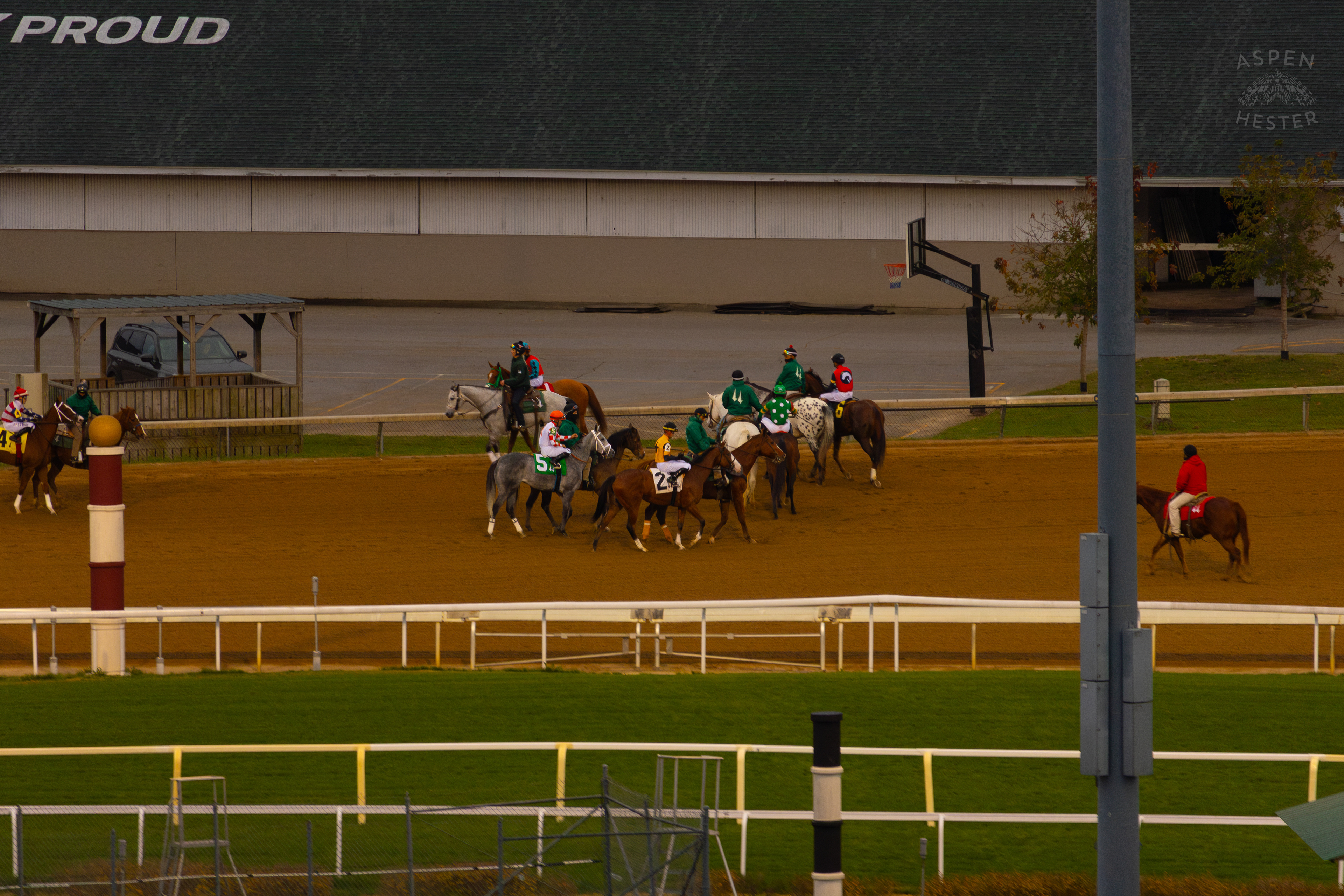 Horses Prepping For Race 9 On The Day Bob Baffert Returned to Churchill Downs After A 3 Year Suspension. November 27th, 2024/Aspen Hester