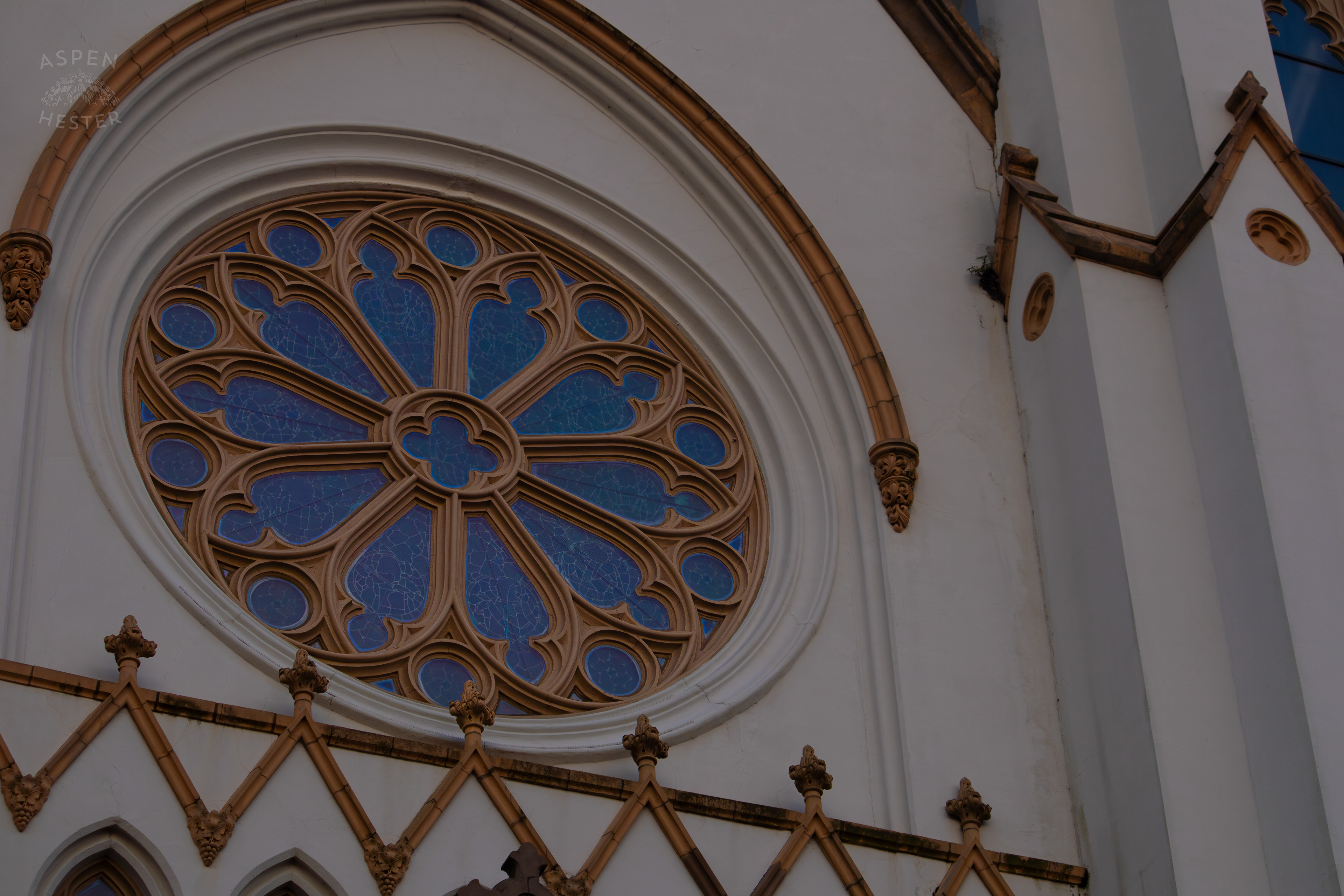 Intricate Window of The Cathedral of St. John the Baptist Savannah Georgia. June 24th, 2024/Aspen Hester