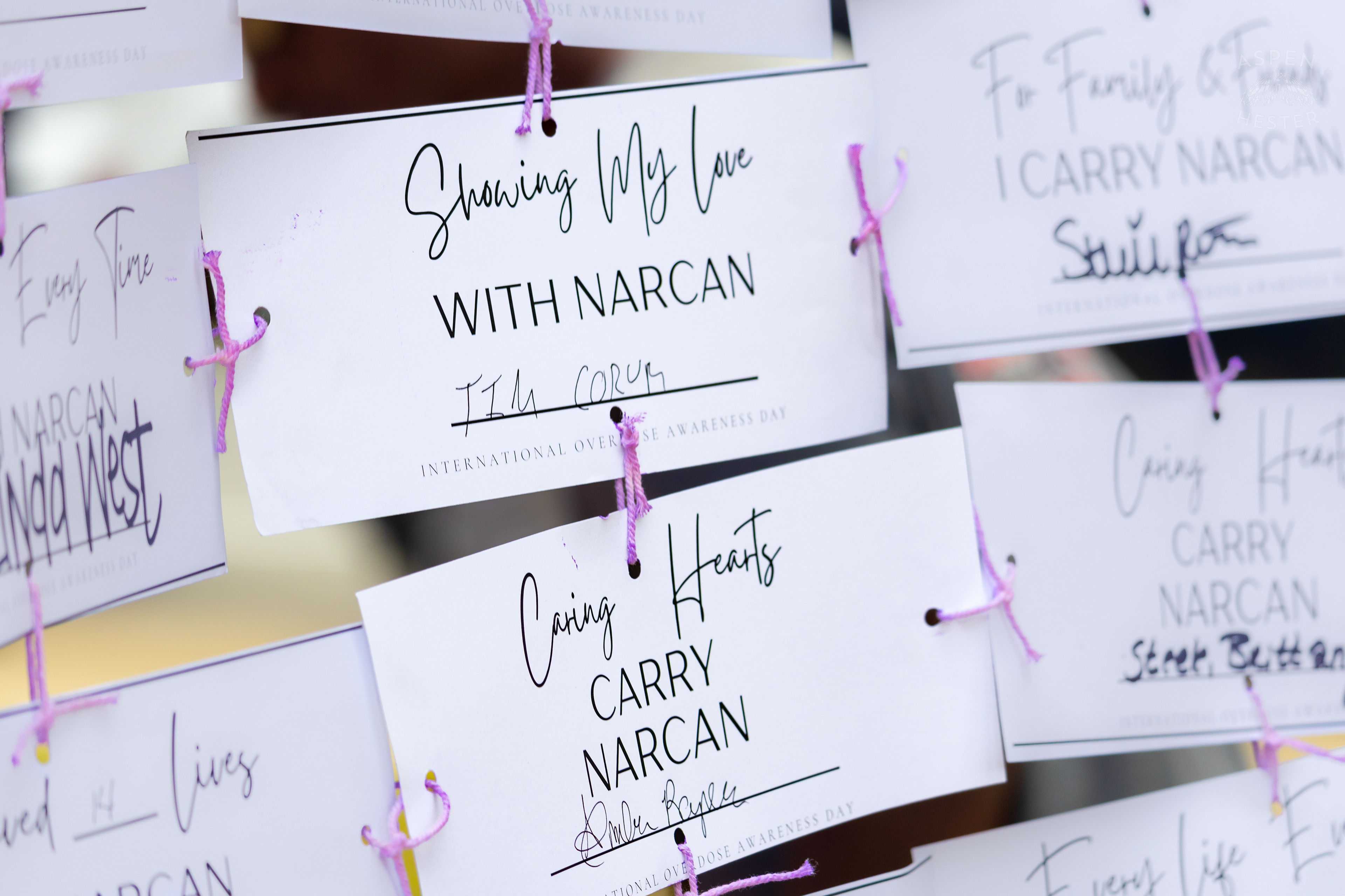 Cards Sharing Why People Carry Narcan with Them at The 3rd Annual Vocal KY International Overdose Awareness Day Rally and March. August 31st, 2024/Aspen Hester