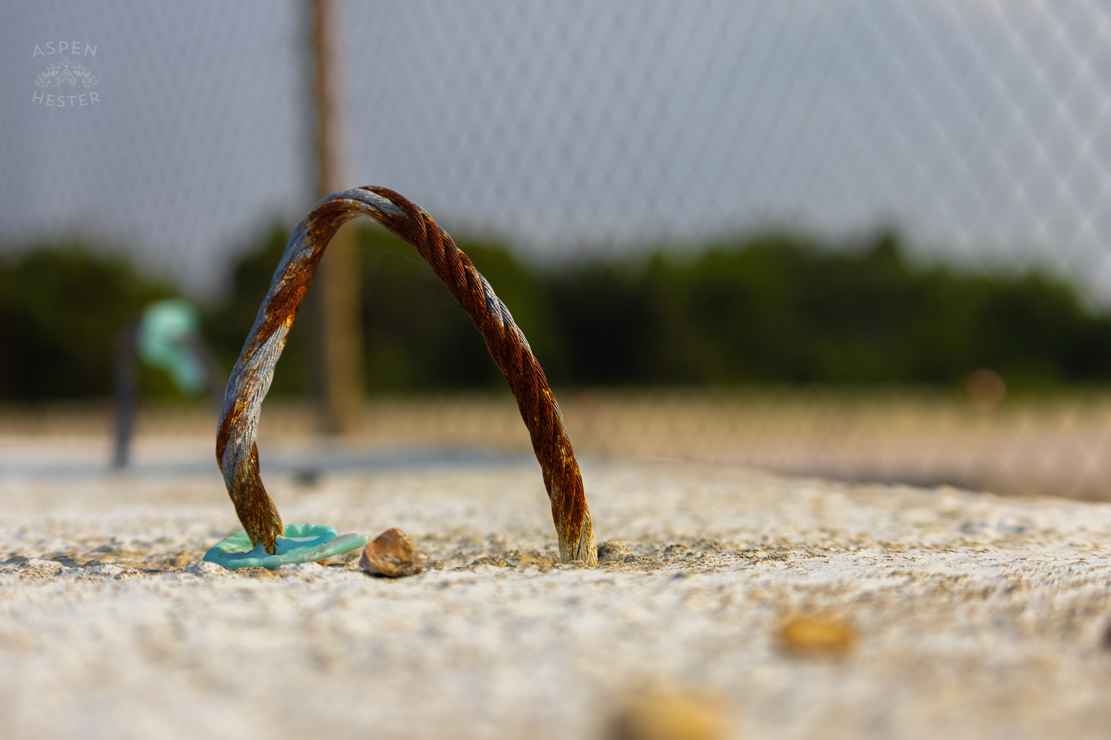 Rebar Left at the Abandoned Jeffboat Shipyard. July 26th, 2024/Aspen Hester