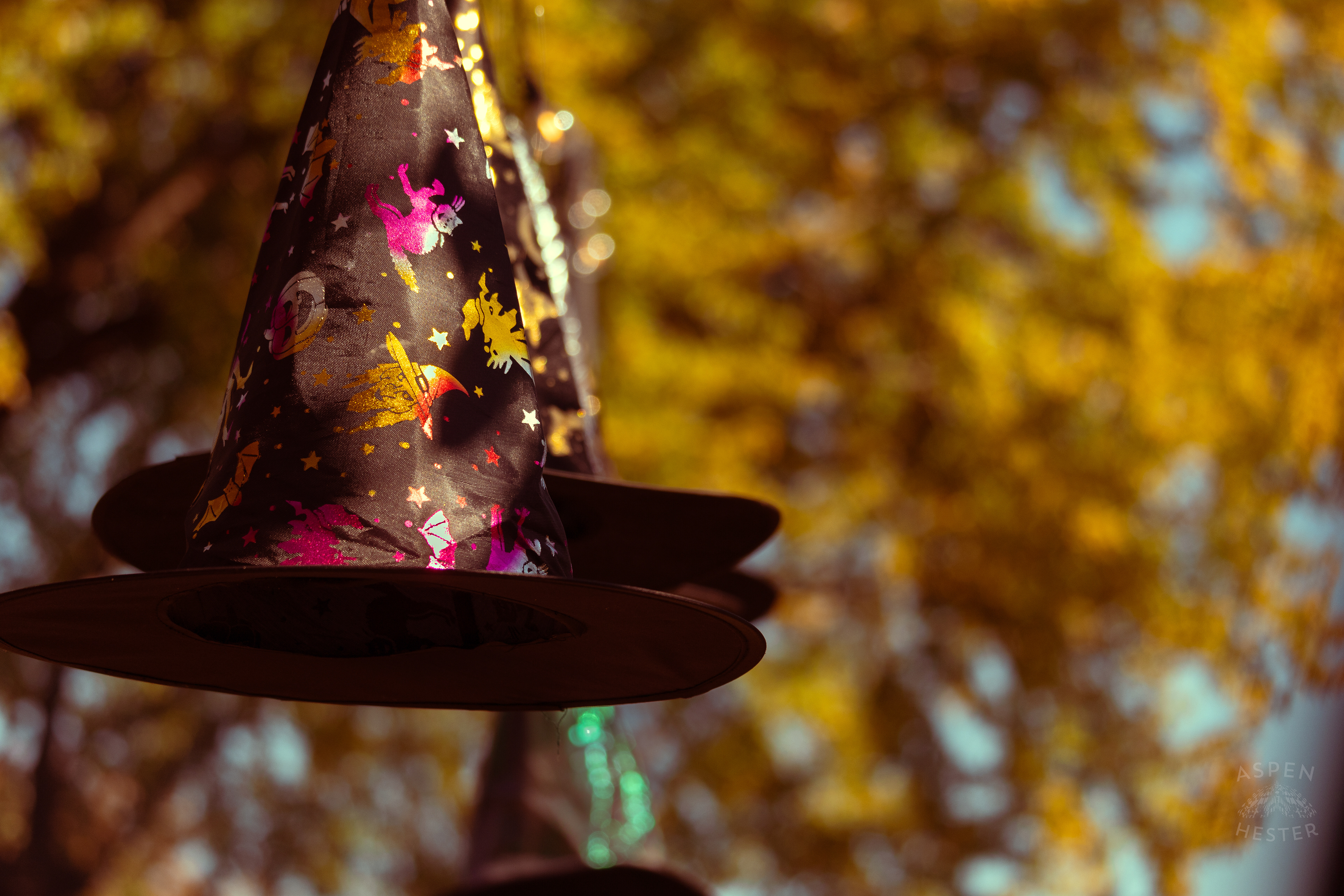 Witch Hats Floating Above Dozens of Women Attending Stacey Edrington’s Yearly Witches Brunch in Mt. Washington. October 26th, 2024/Aspen Hester