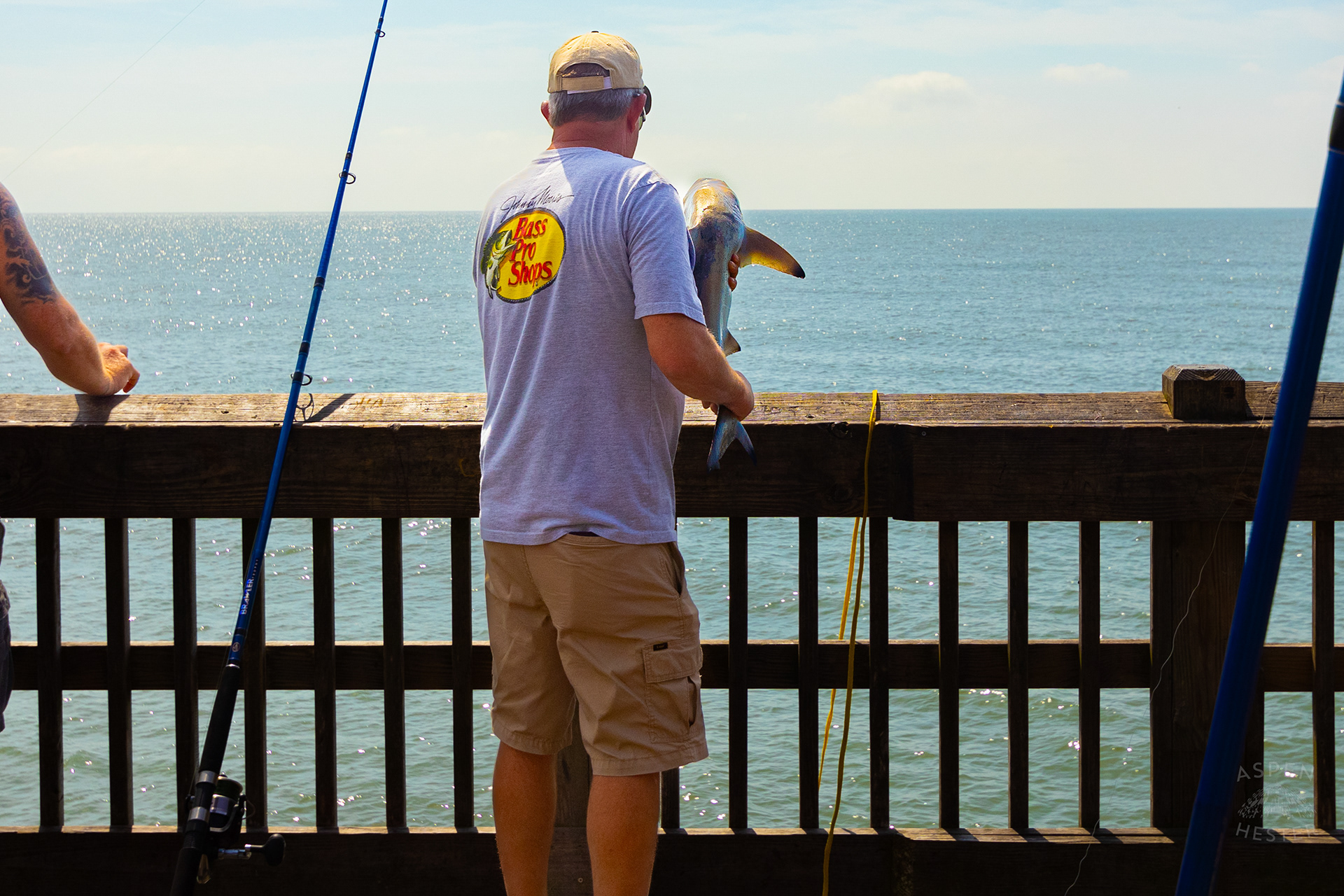 Man Releases A Black Tipped Shark Caught on The Tybee Island Pier and Pavilion on Tybee Island Georgia. June 27th, 2024/Aspen Hester