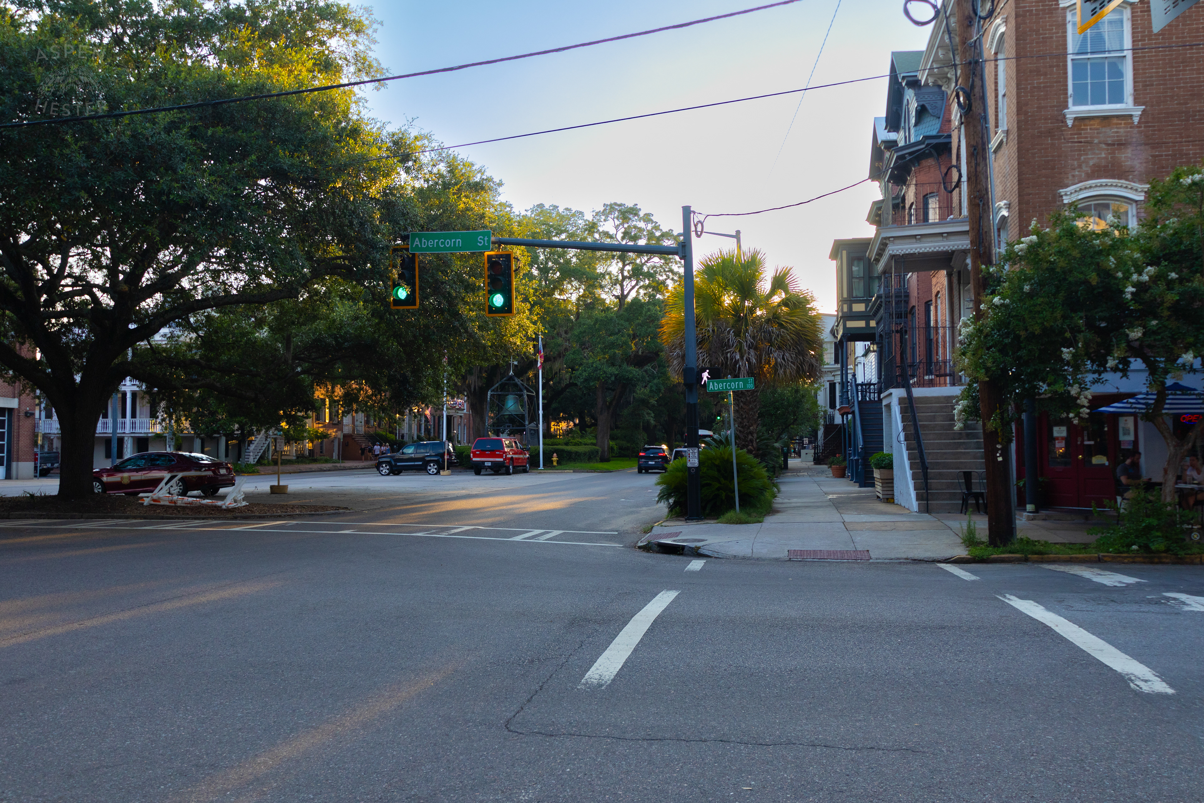 Abercorn Street Savannah Georgia. June 24th, 2024/Aspen Hester