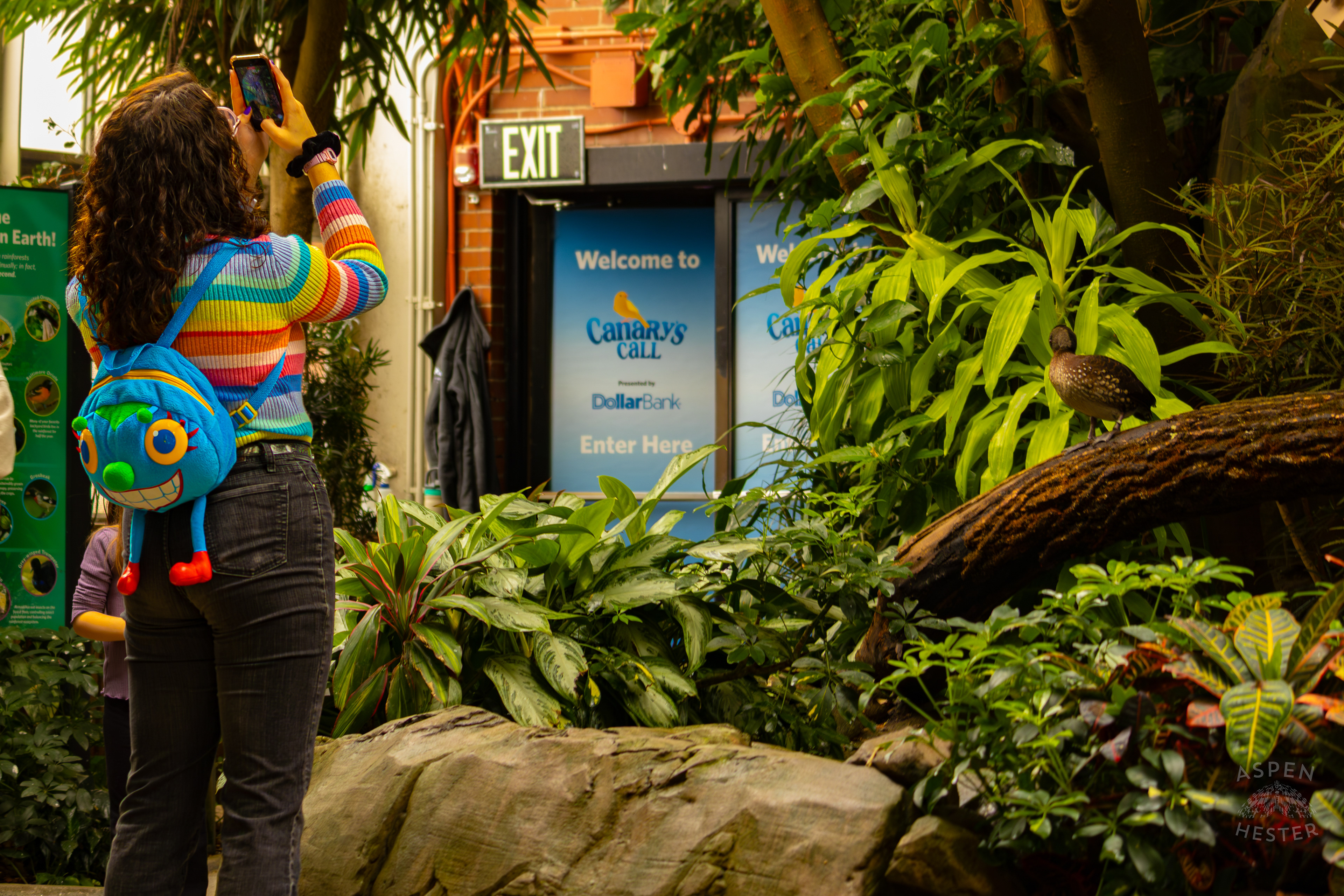 The Prettiest Bird In The Rainforest Inside The National Aviary in Pittsburgh Pennsylvania. February 26th, 2025/Aspen Hester