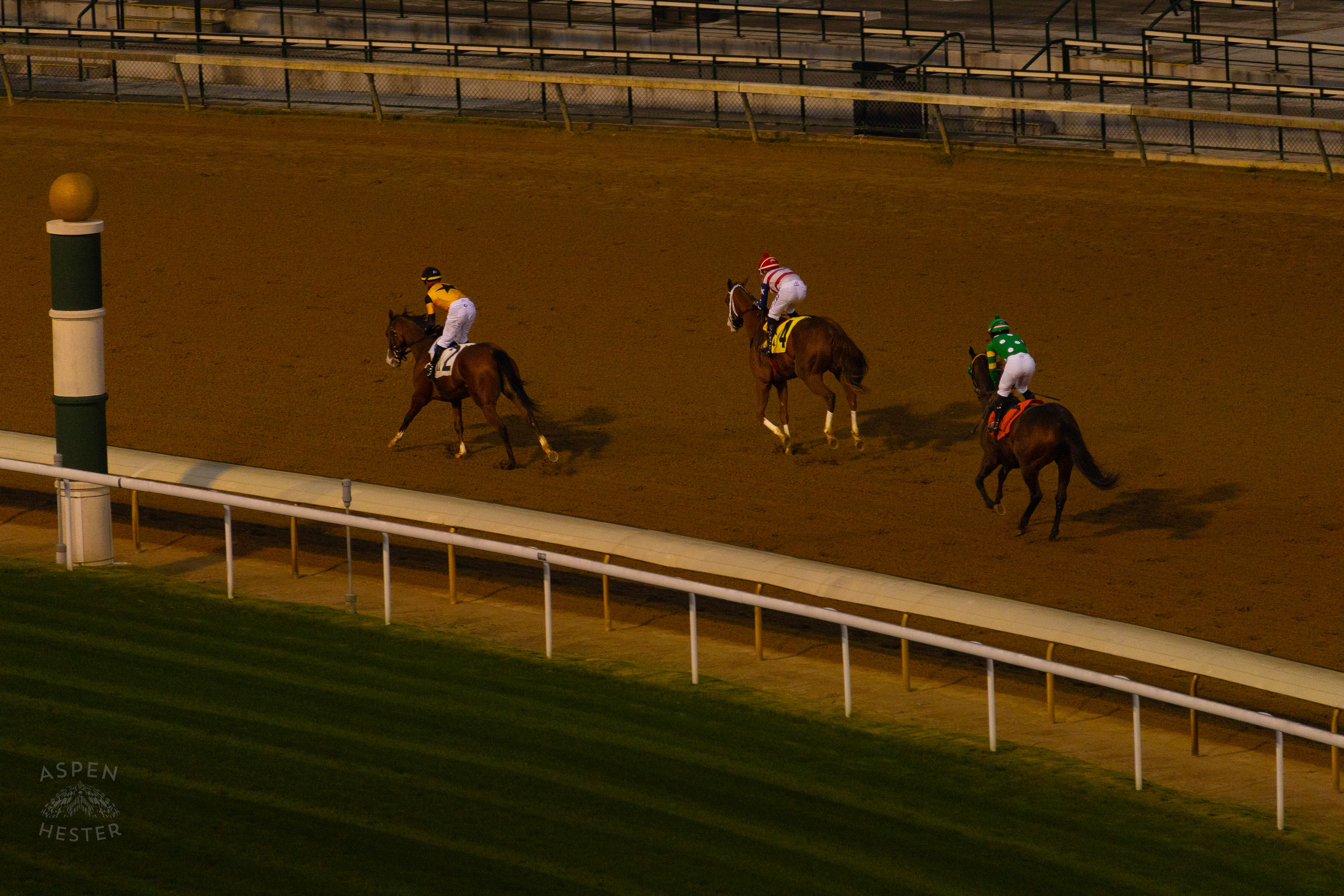 Horse #2 Miss Enchanted Ridden by Jockey Corey Lanerie, Horse #4 Queen’s Martini Ridden by Jockey Ricardo Santana Jr. and Horse #7 Charriere Ridden by Jockey Cristian Torres Running in Race 9 On The Day Bob Baffert Returned to Churchill Downs After A 3 Year Suspension. November 27th, 2024/Aspen Hester